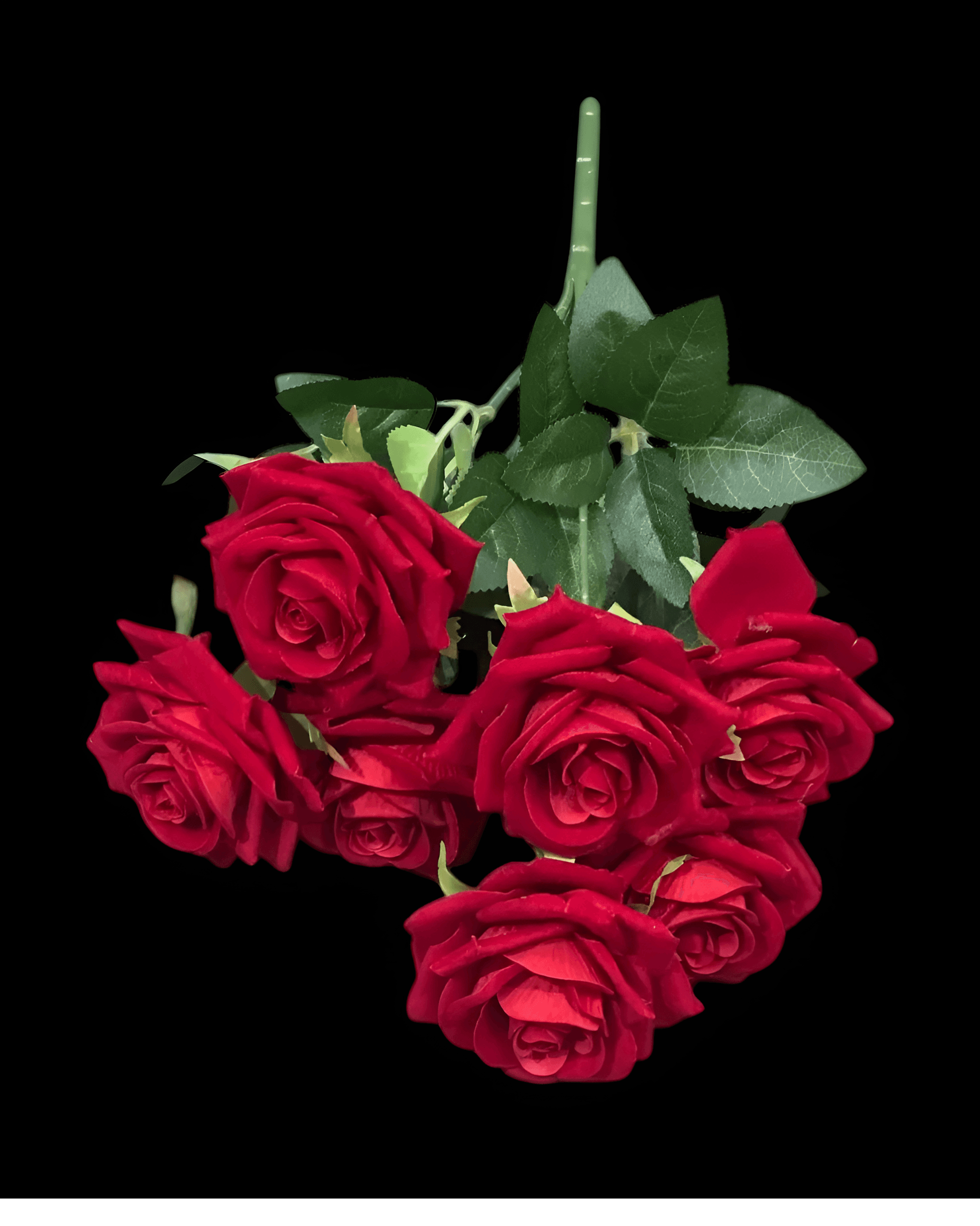 7 BAŞLI KADİFE GÜL - 1