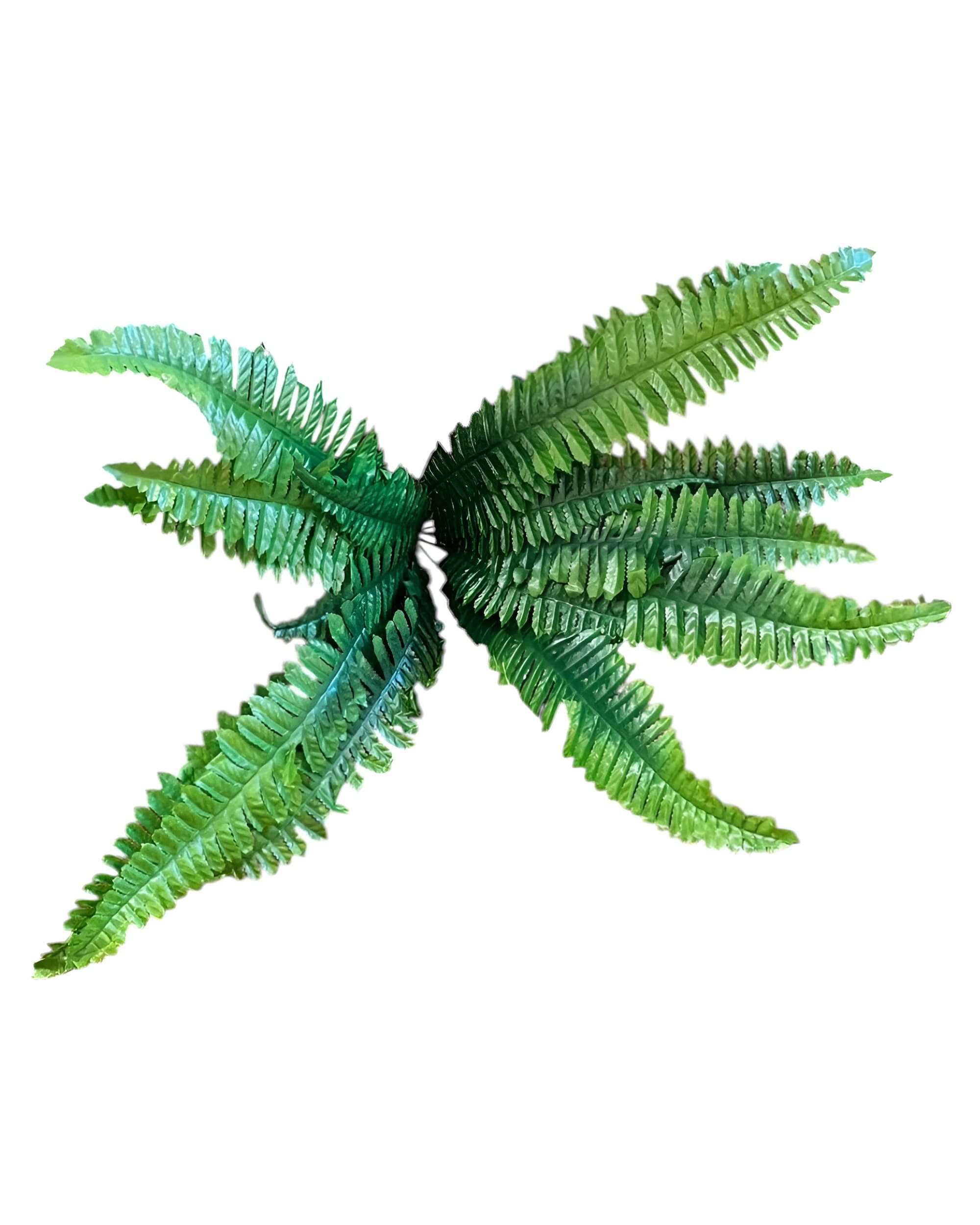 18 DALLI YAPAY AŞK MERDİVENİ - 2