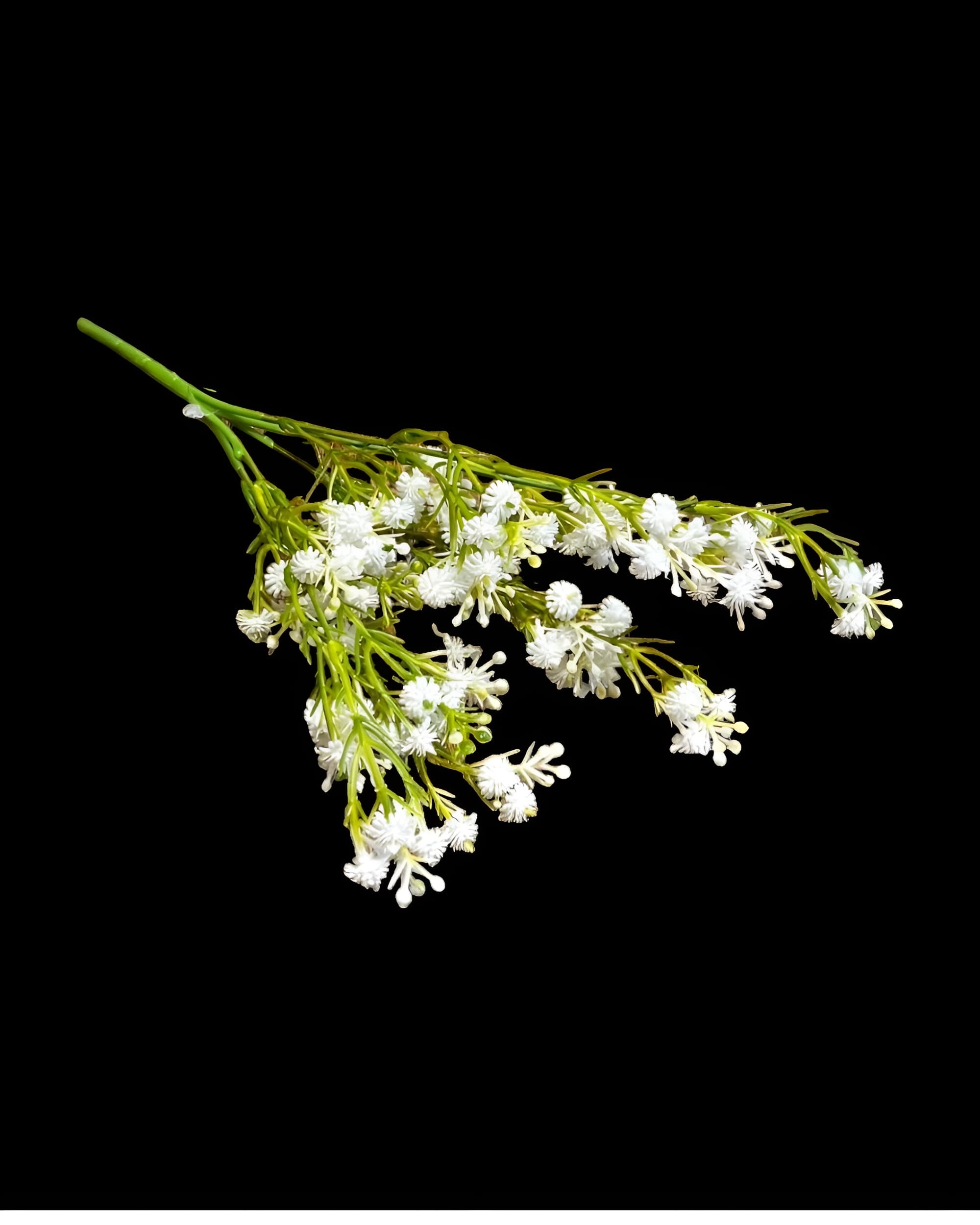 5 DALLI ISLAK CİPSO DEMETİ 30 CM - 3