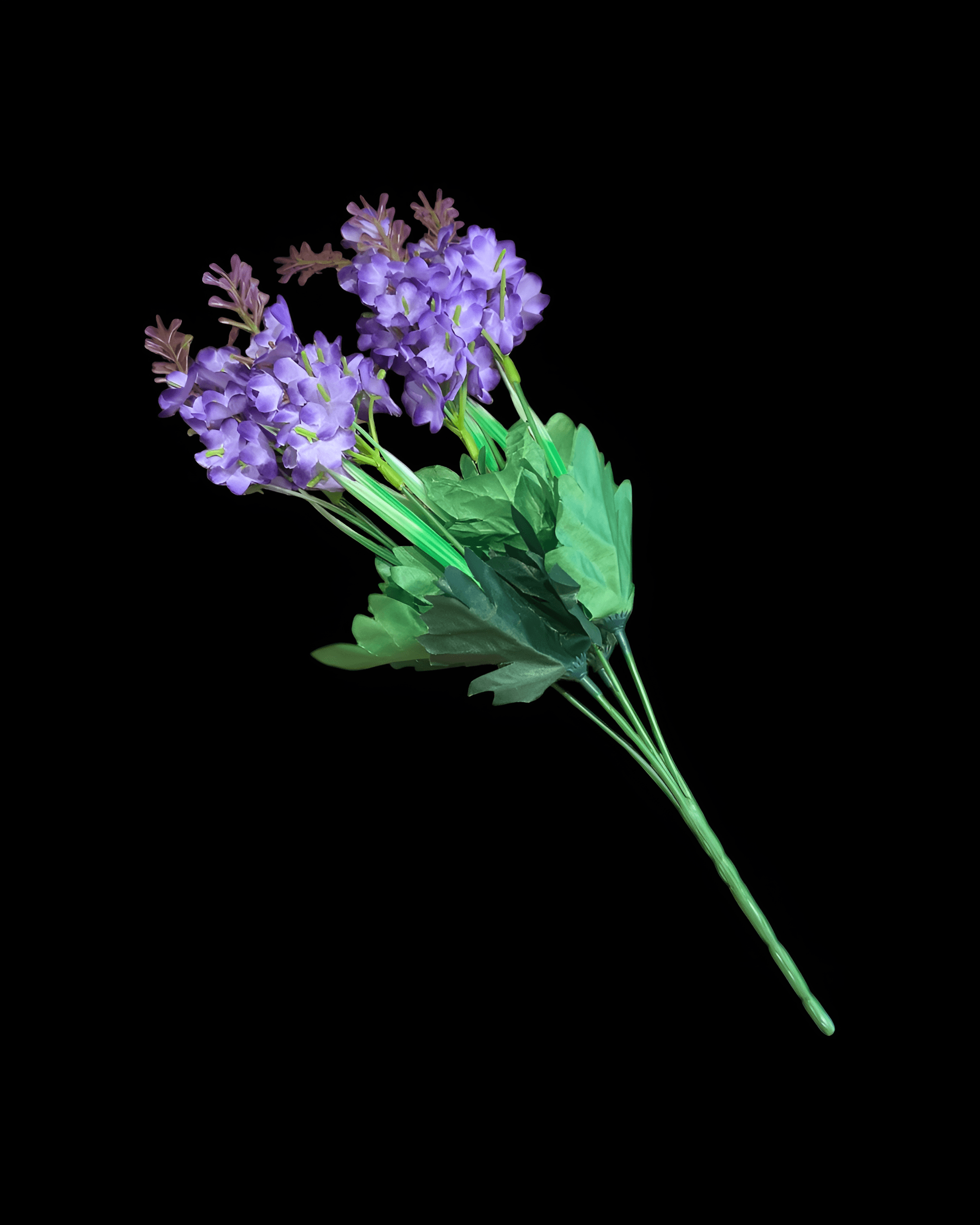 5 DALLI SÜMBÜL DEMETİ - 4