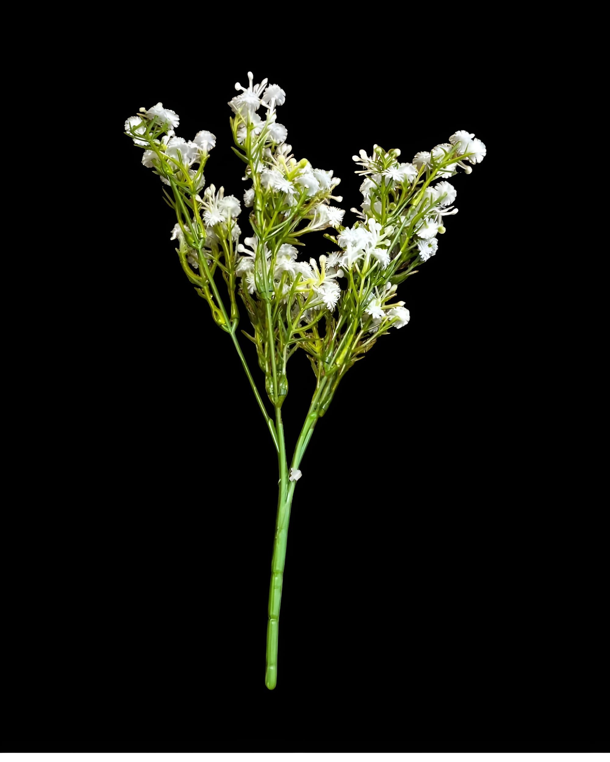 5 DALLI ISLAK CİPSO DEMETİ 30 CM - 1