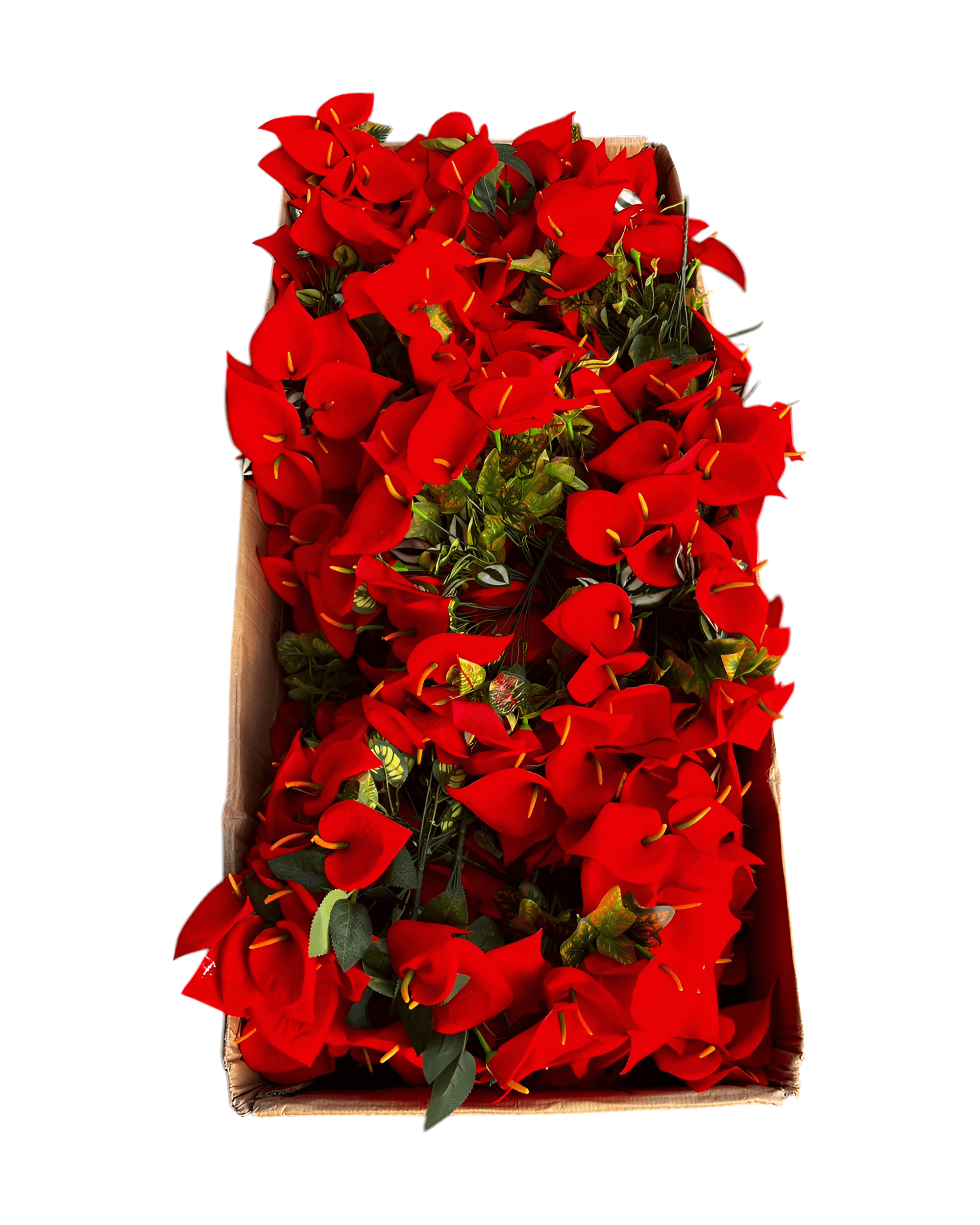 7'Lİ KADİFE GALA DEMETİ - 4