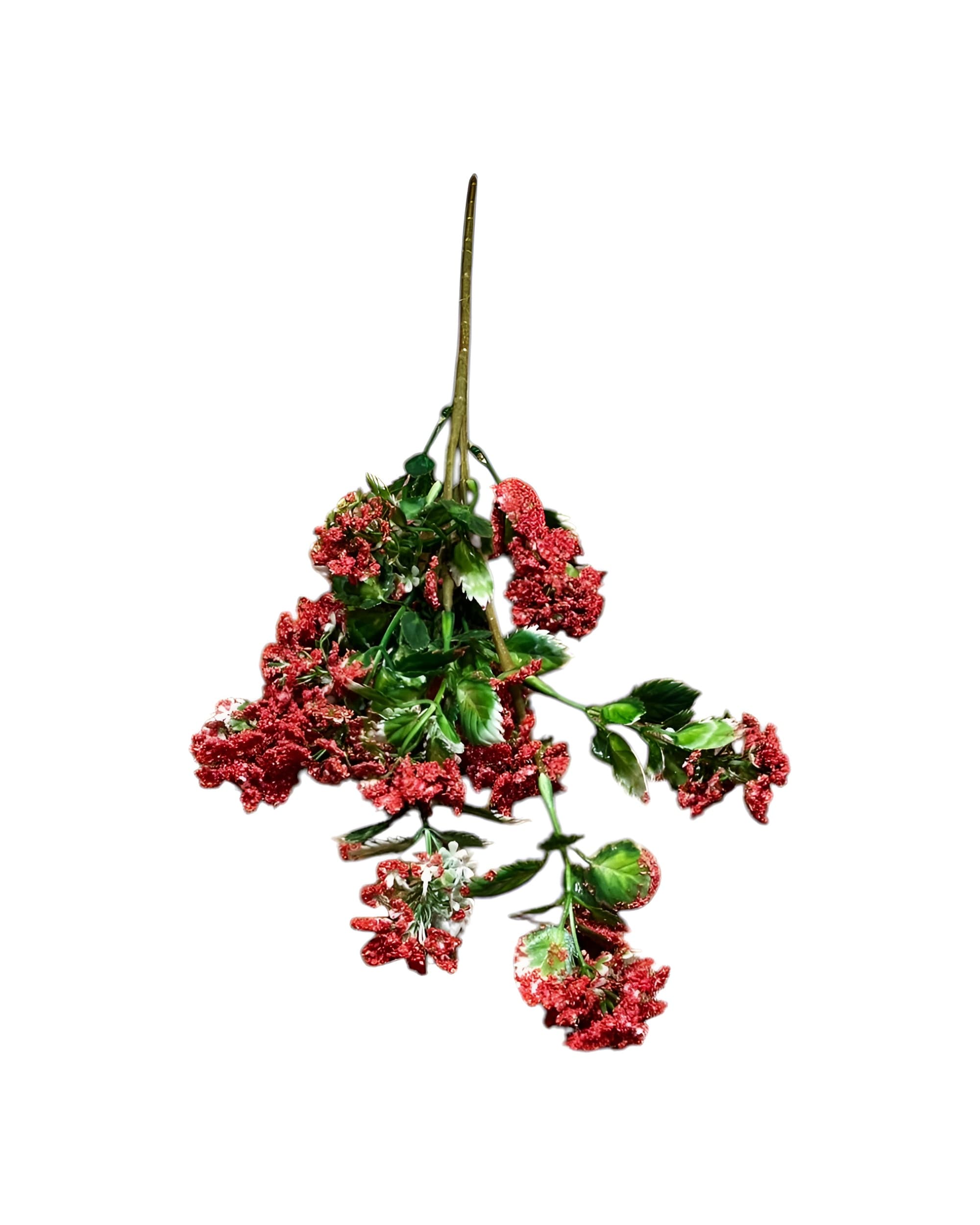 RENKLİ CİPSO DEMETİ - 3