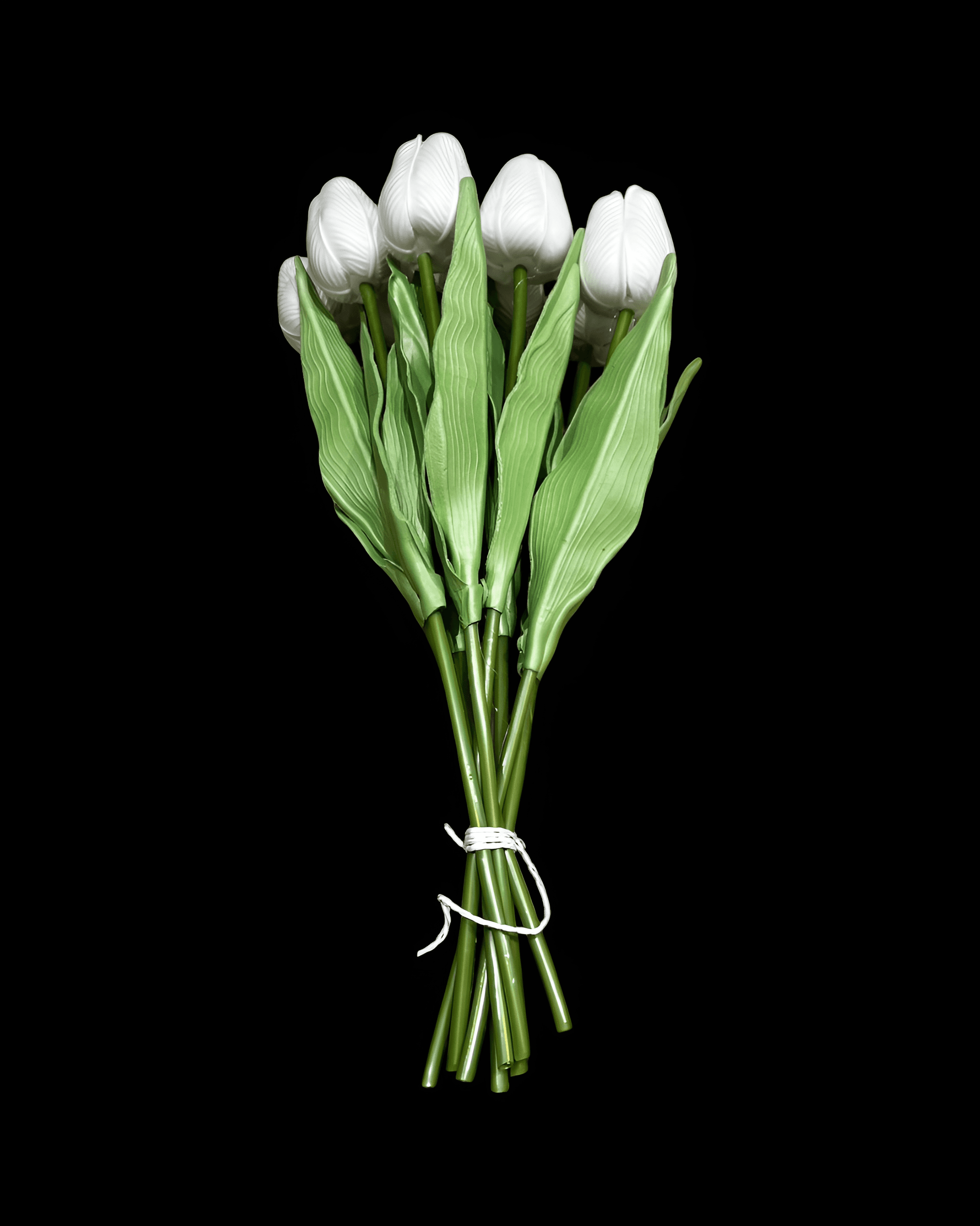 ISLAK LALE 8'Lİ DEMET - 5