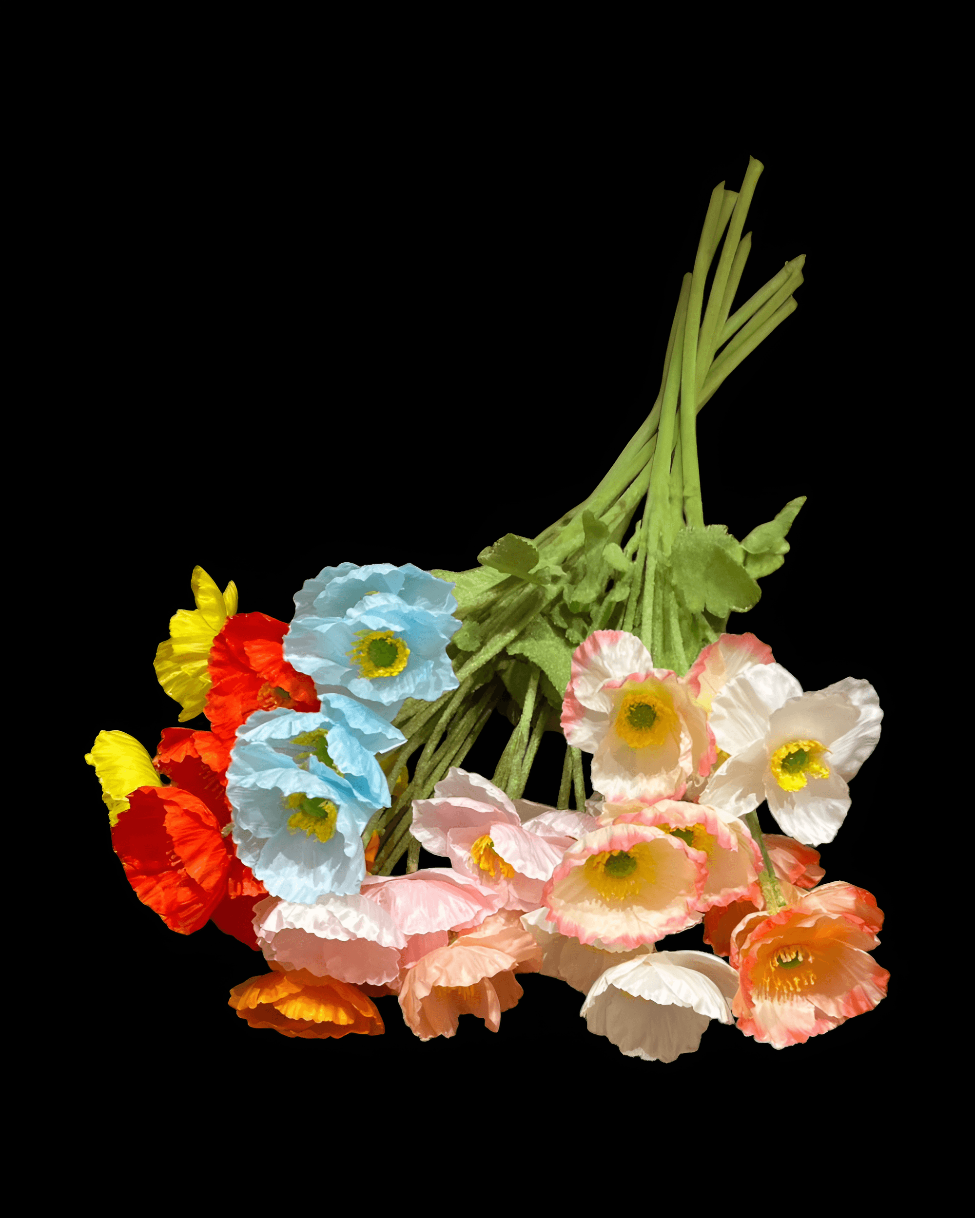 GELİNCİK ÇİÇEĞİ 4 BAŞLI - 9