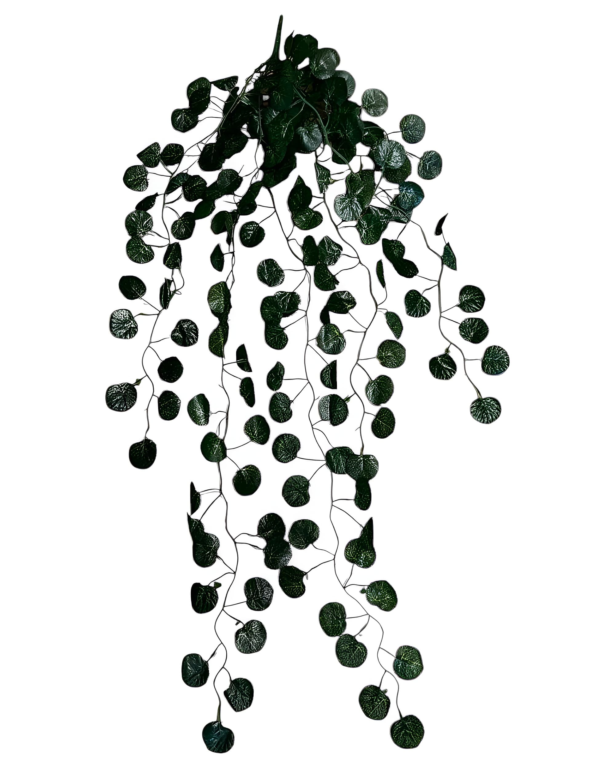 5 DALLI YUVARLAK YAPRAKLI SARKAN SARMAŞIK 85 CM - 1