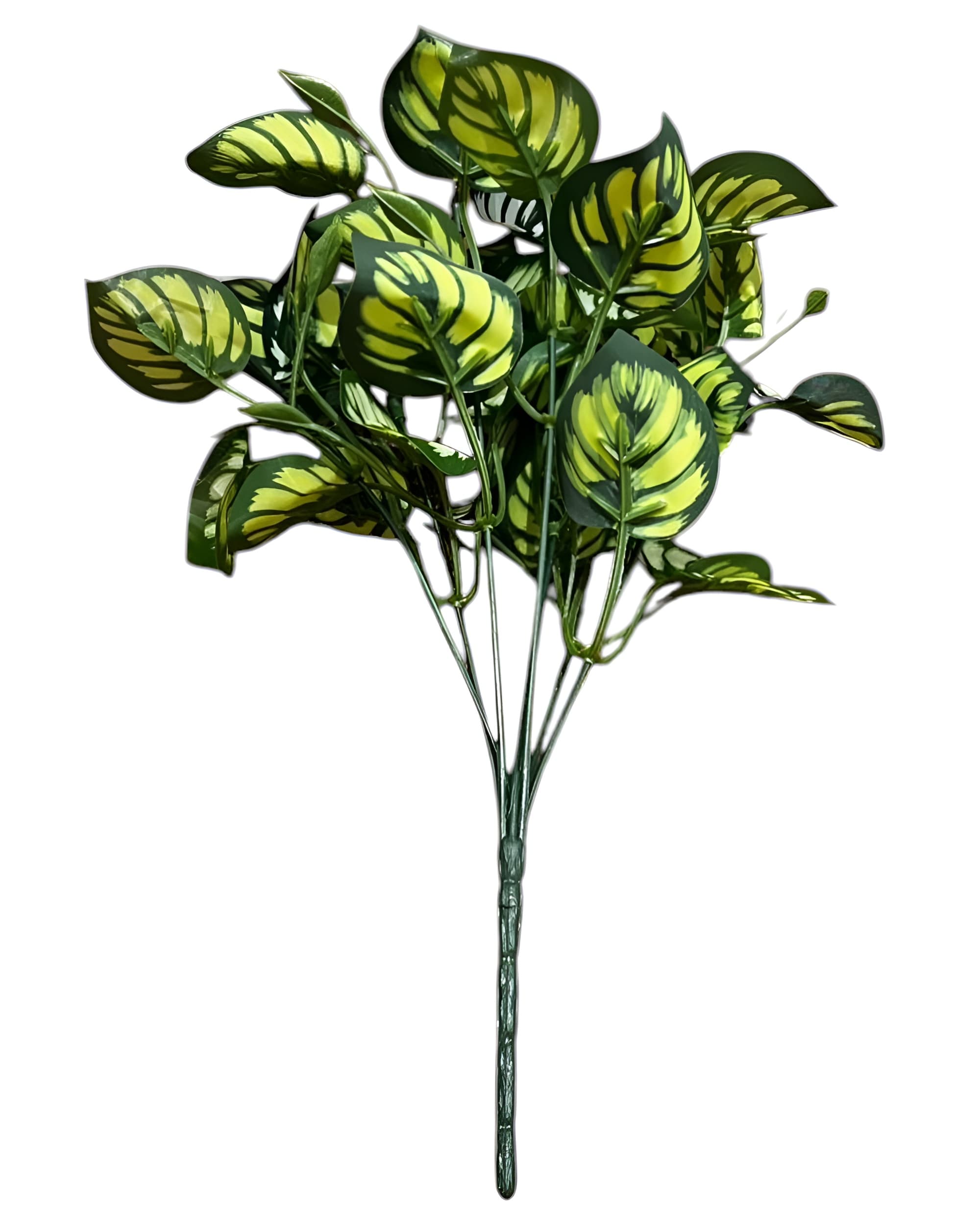 7 DALLI YAPRAKLI YEŞİLLİK 35 CM - 1