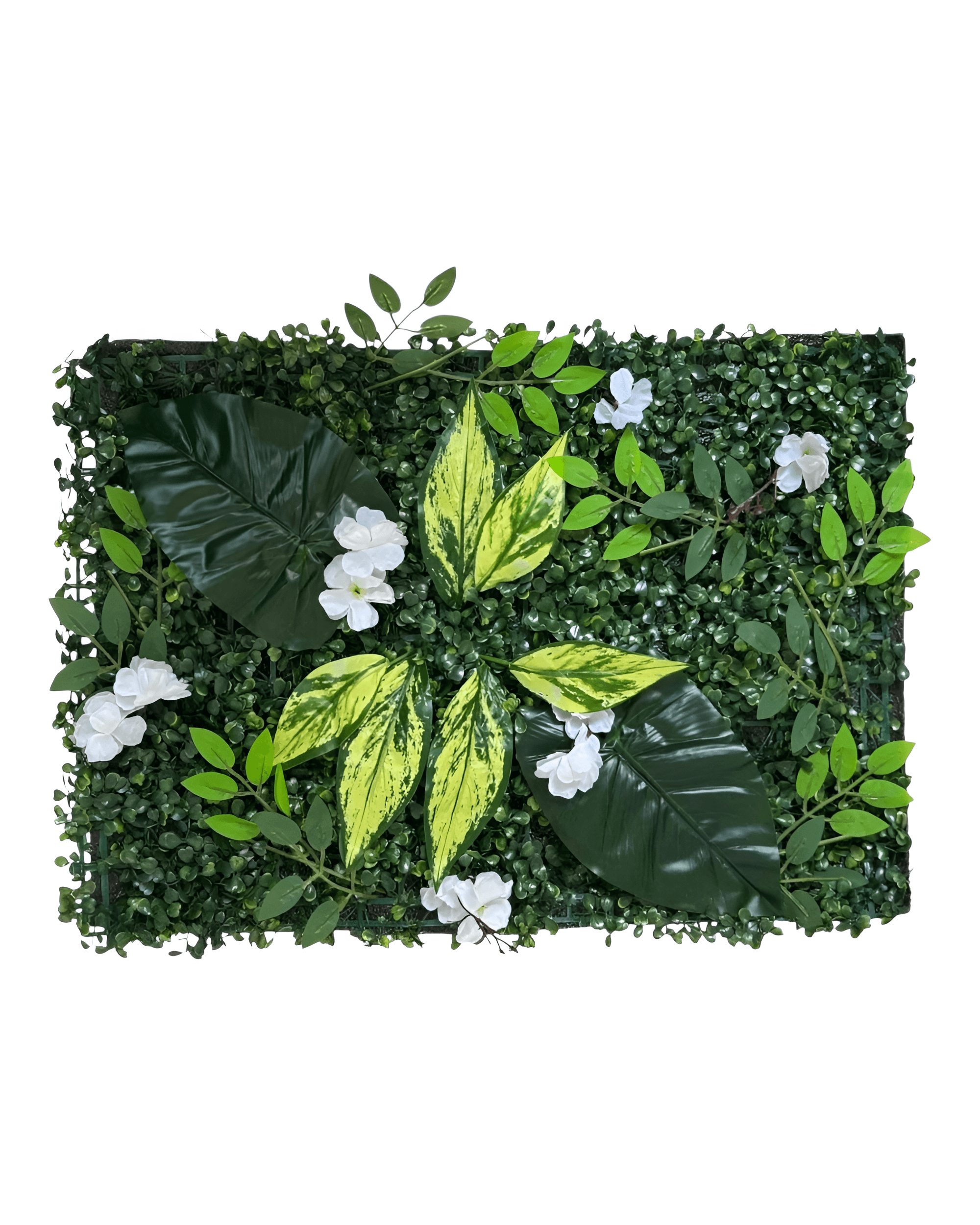 YAPAY ŞİMŞİR (YAPIŞKANLI) - 2