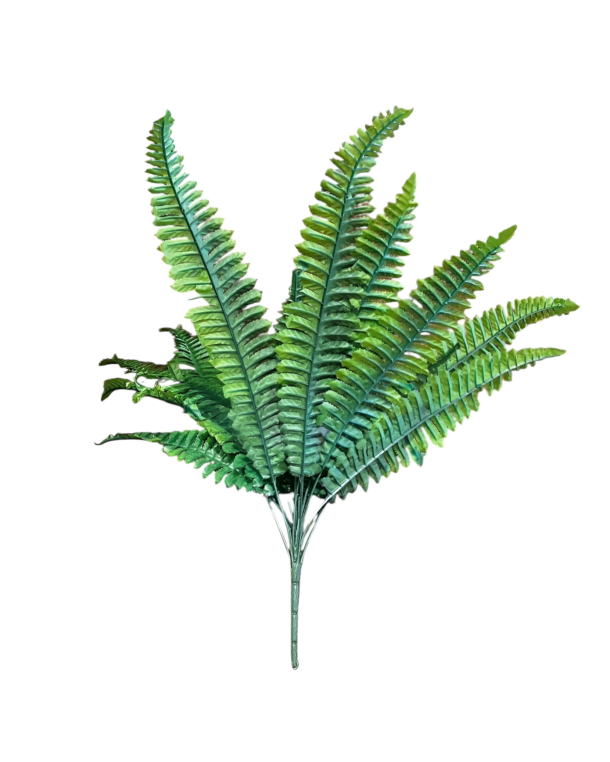 18 DALLI YAPAY AŞK MERDİVENİ 0