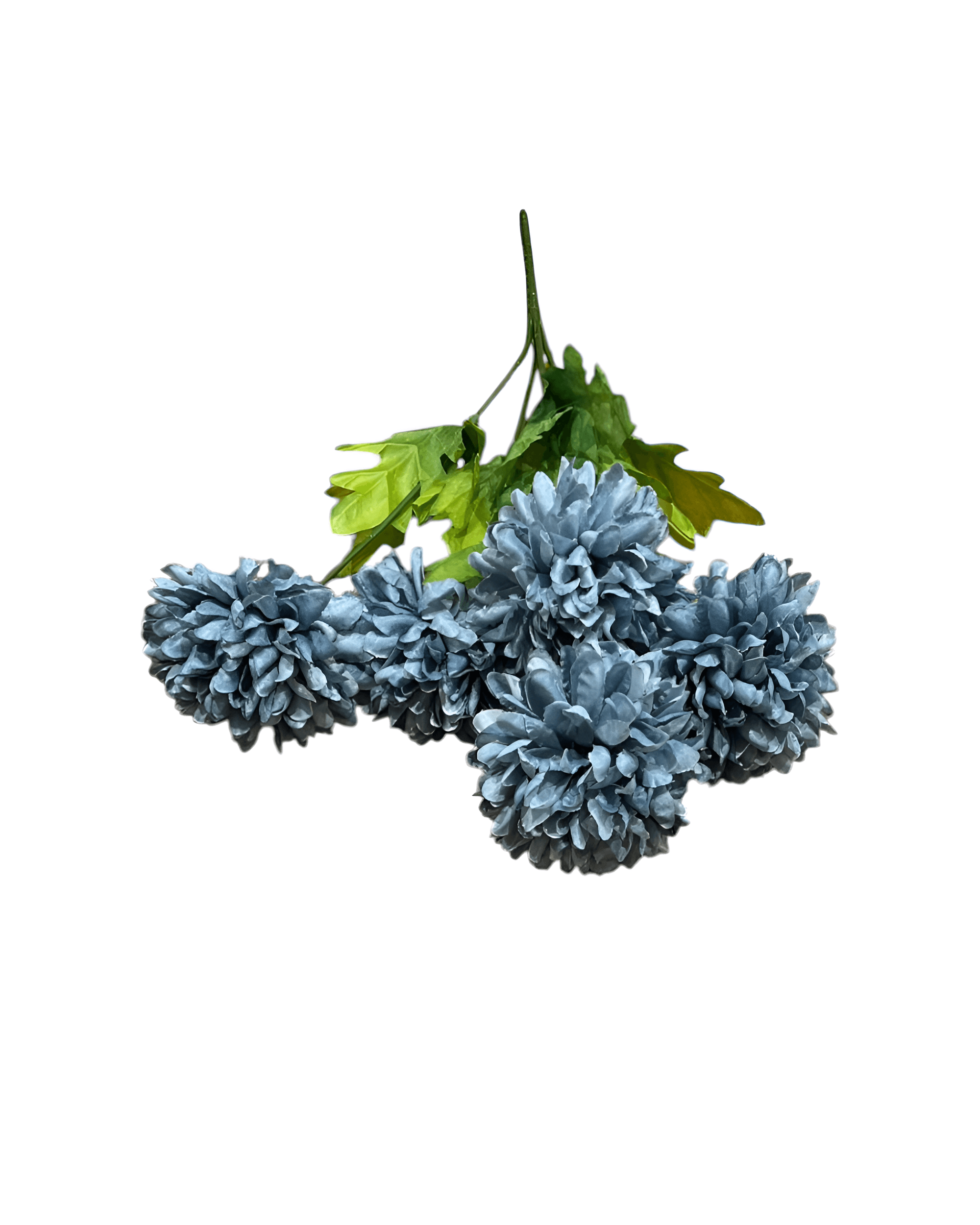 5 DALLI KASIMPATI - 2