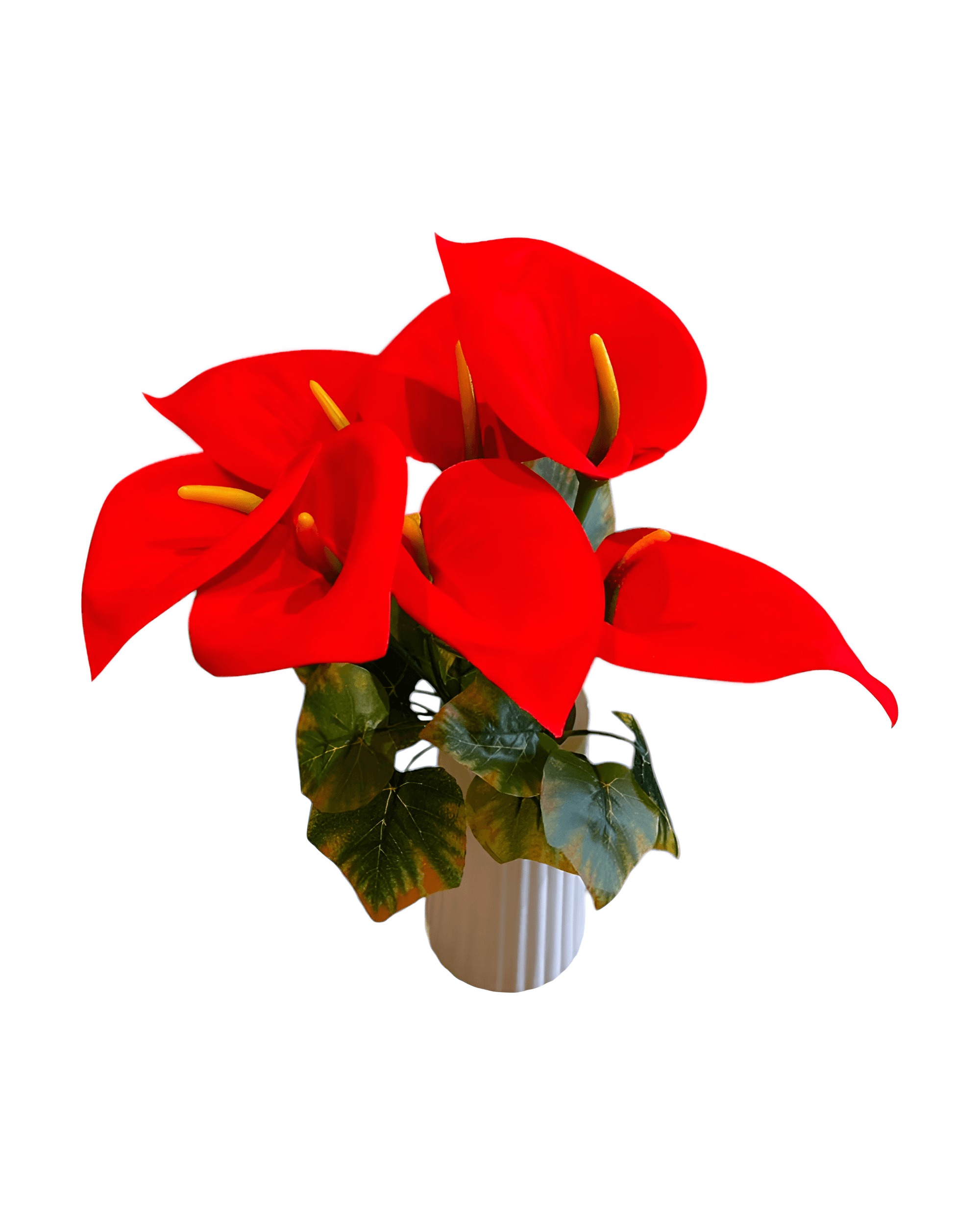 7'Lİ KADİFE GALA DEMETİ - 1