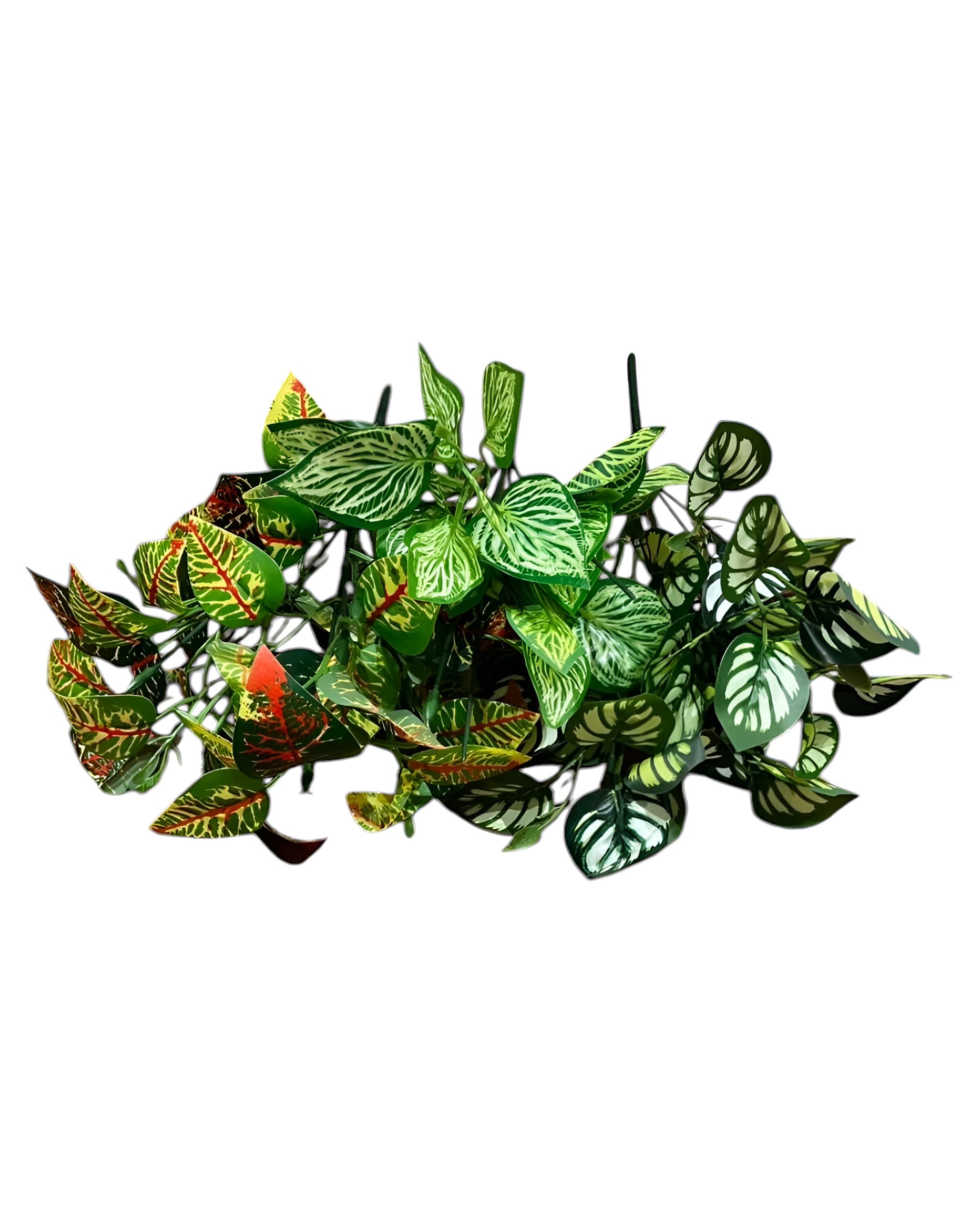 7 DALLI YAPRAKLI YEŞİLLİK 35 CM 1