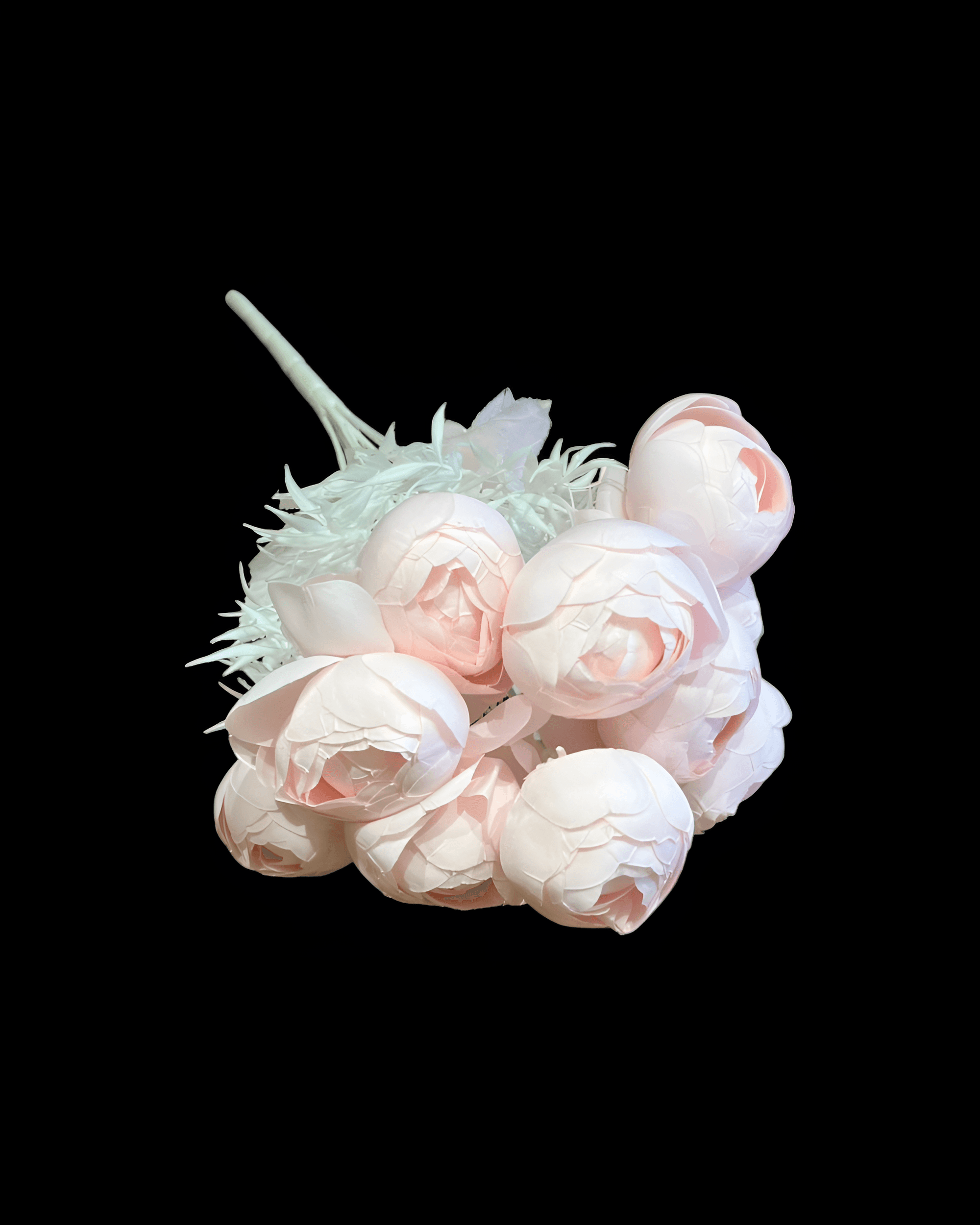 12 BAŞLI ŞAKAYIK - 4