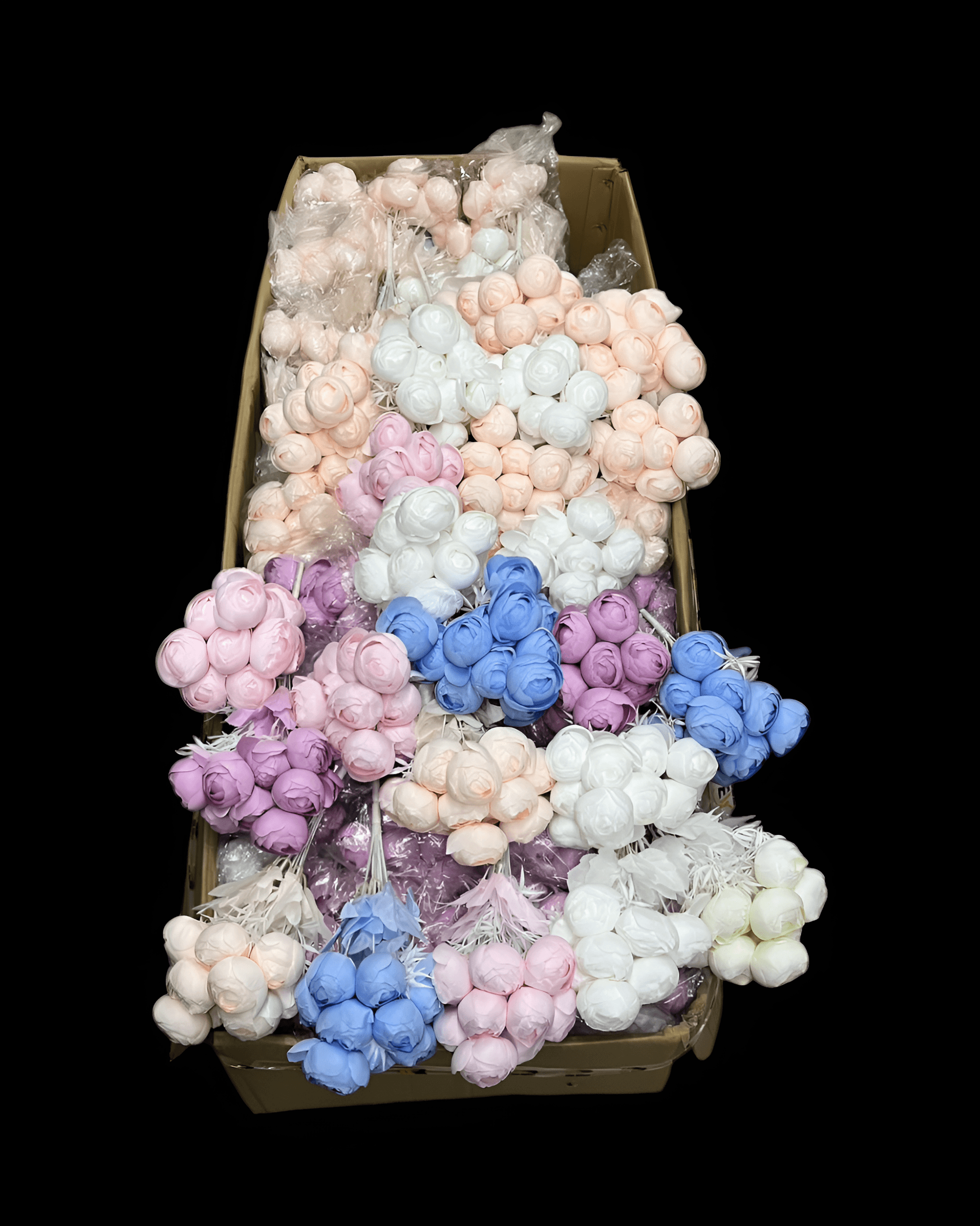 12 BAŞLI ŞAKAYIK - 9