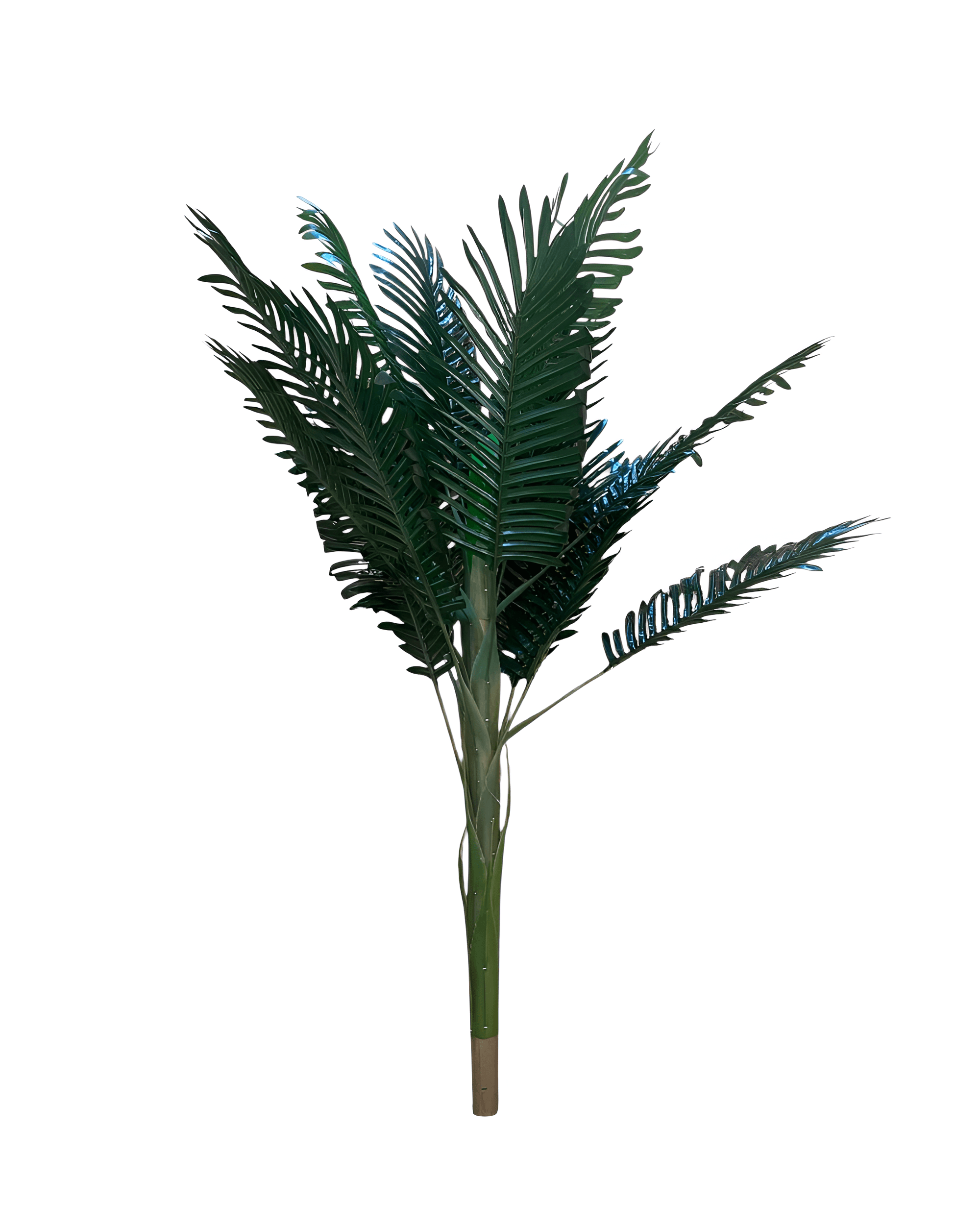 120 CM AREKA AĞAÇ - 1