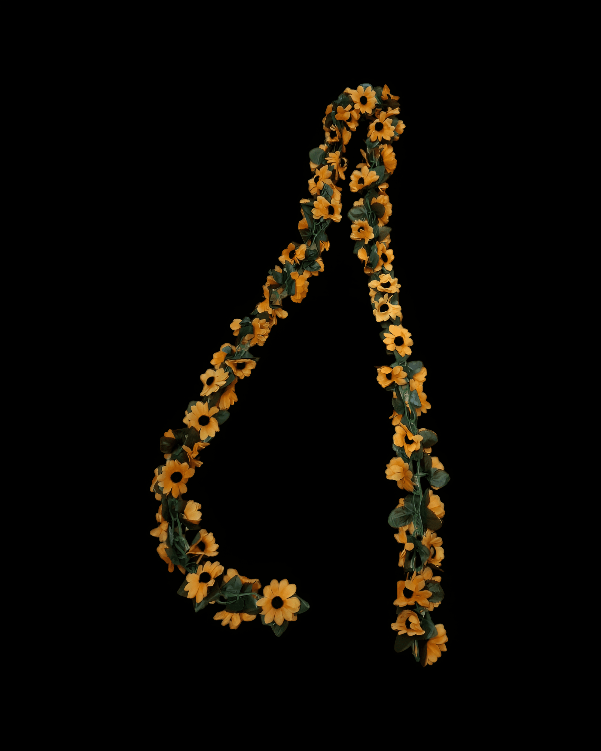 2MT PAPATYA SARMAŞIK - 1