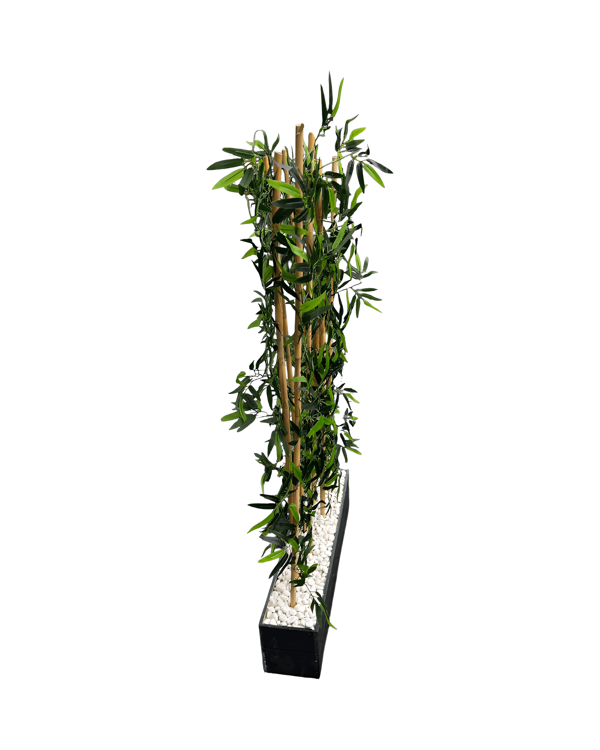 BAMBU ÇİT SAKSILI 1