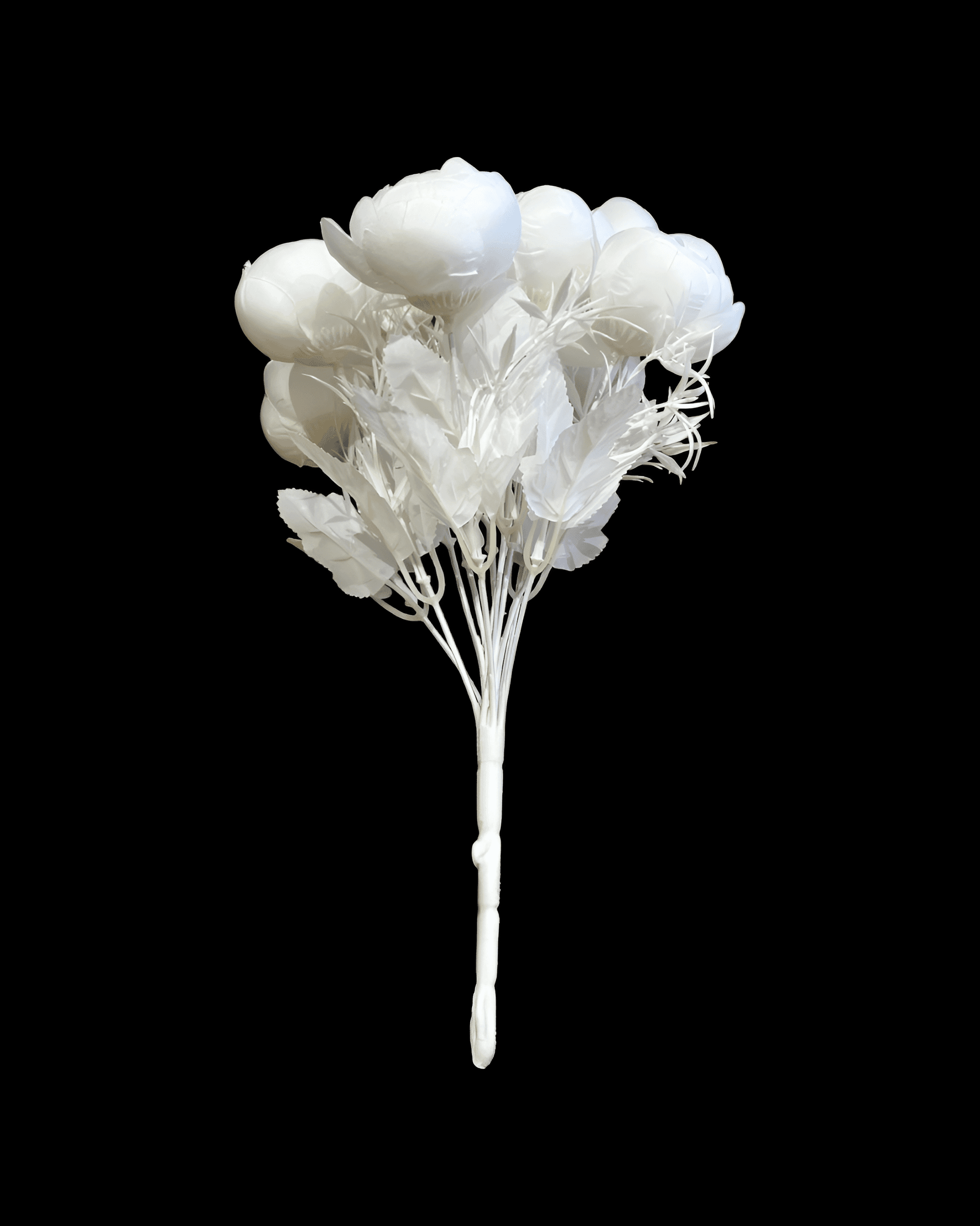 12 BAŞLI ŞAKAYIK 5