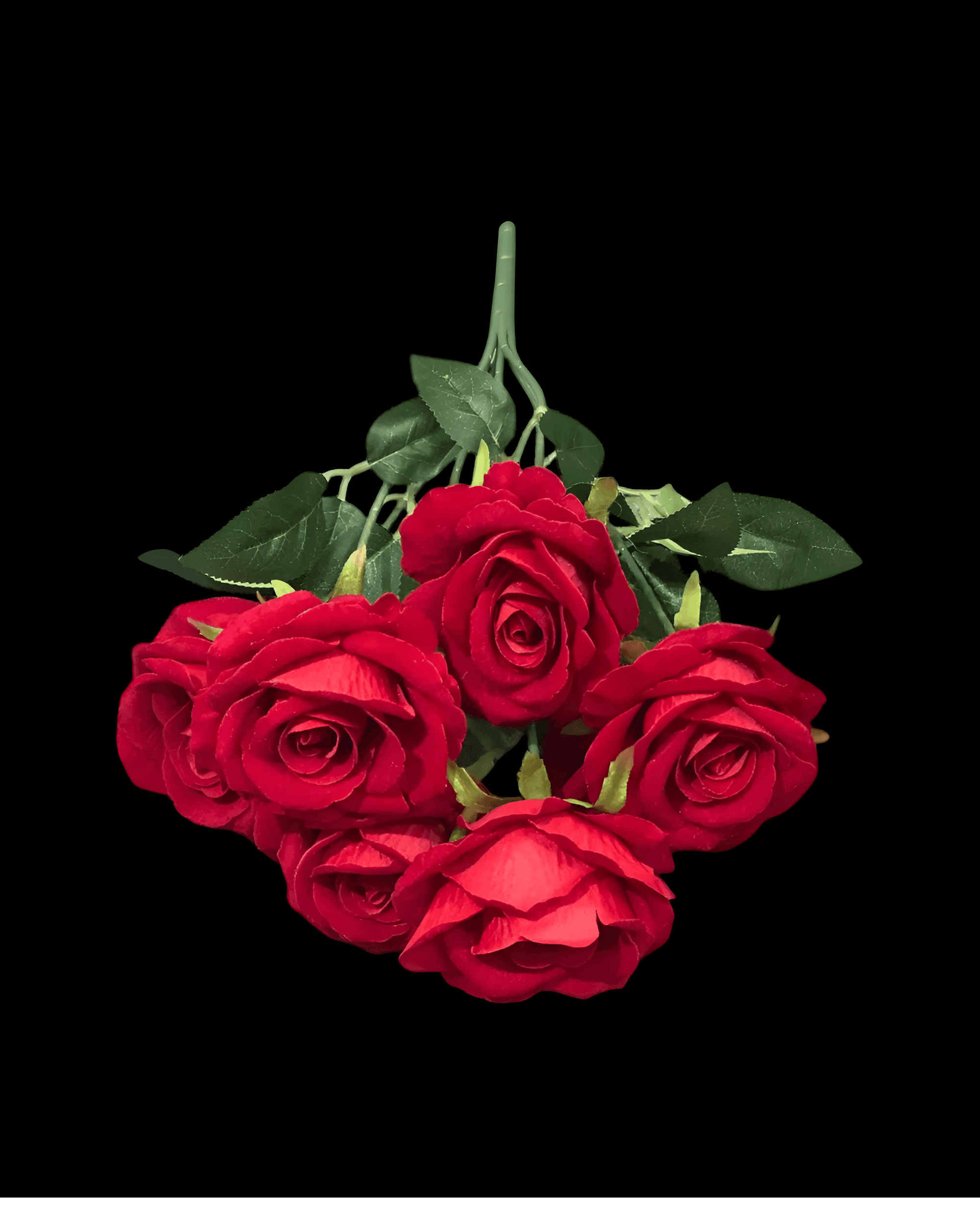 7 BAŞLI KADİFE GÜL - 3