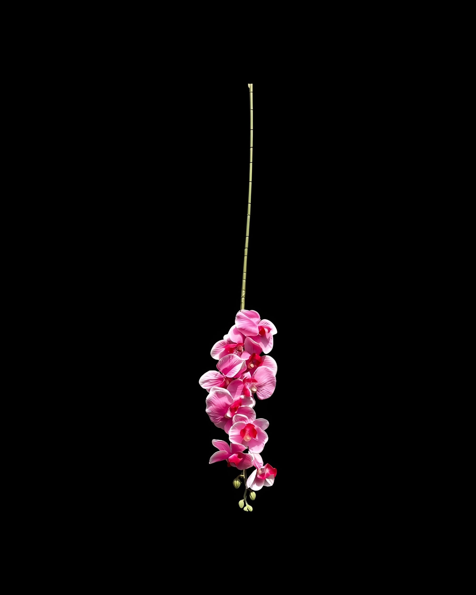 ORKİDE DAL 90 CM - 2