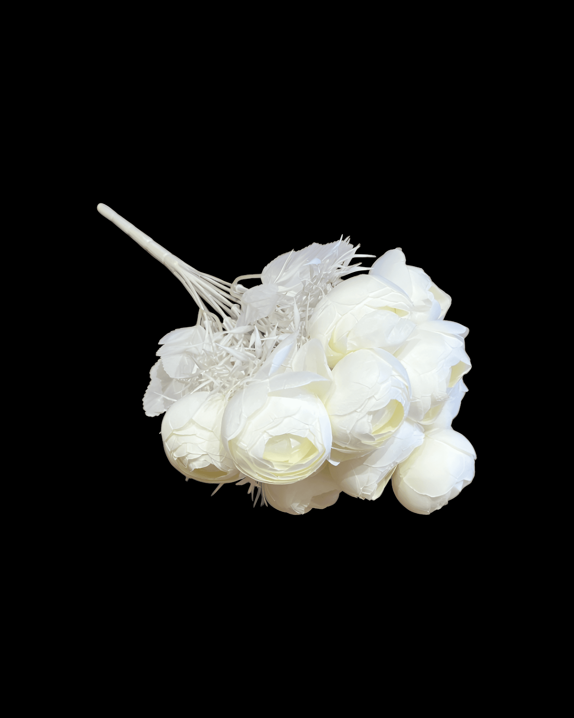 12 BAŞLI ŞAKAYIK - 8