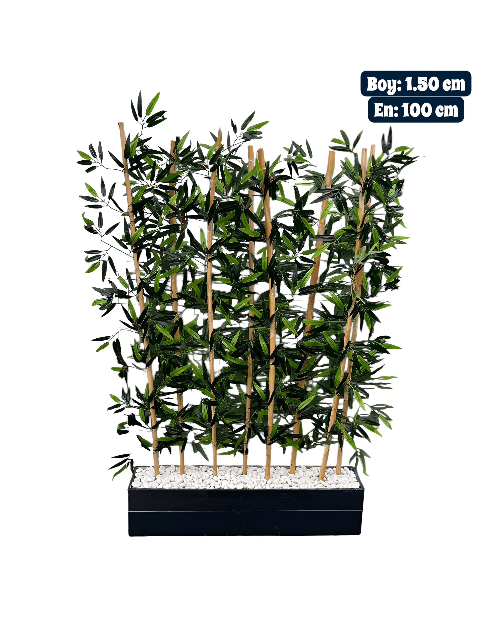 BAMBU ÇİT SAKSILI - 1