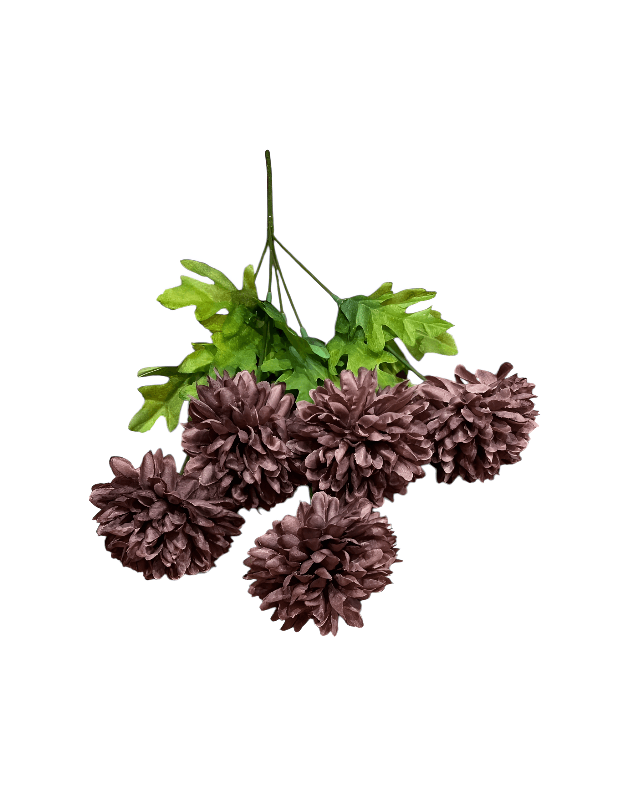 5 DALLI KASIMPATI - 4