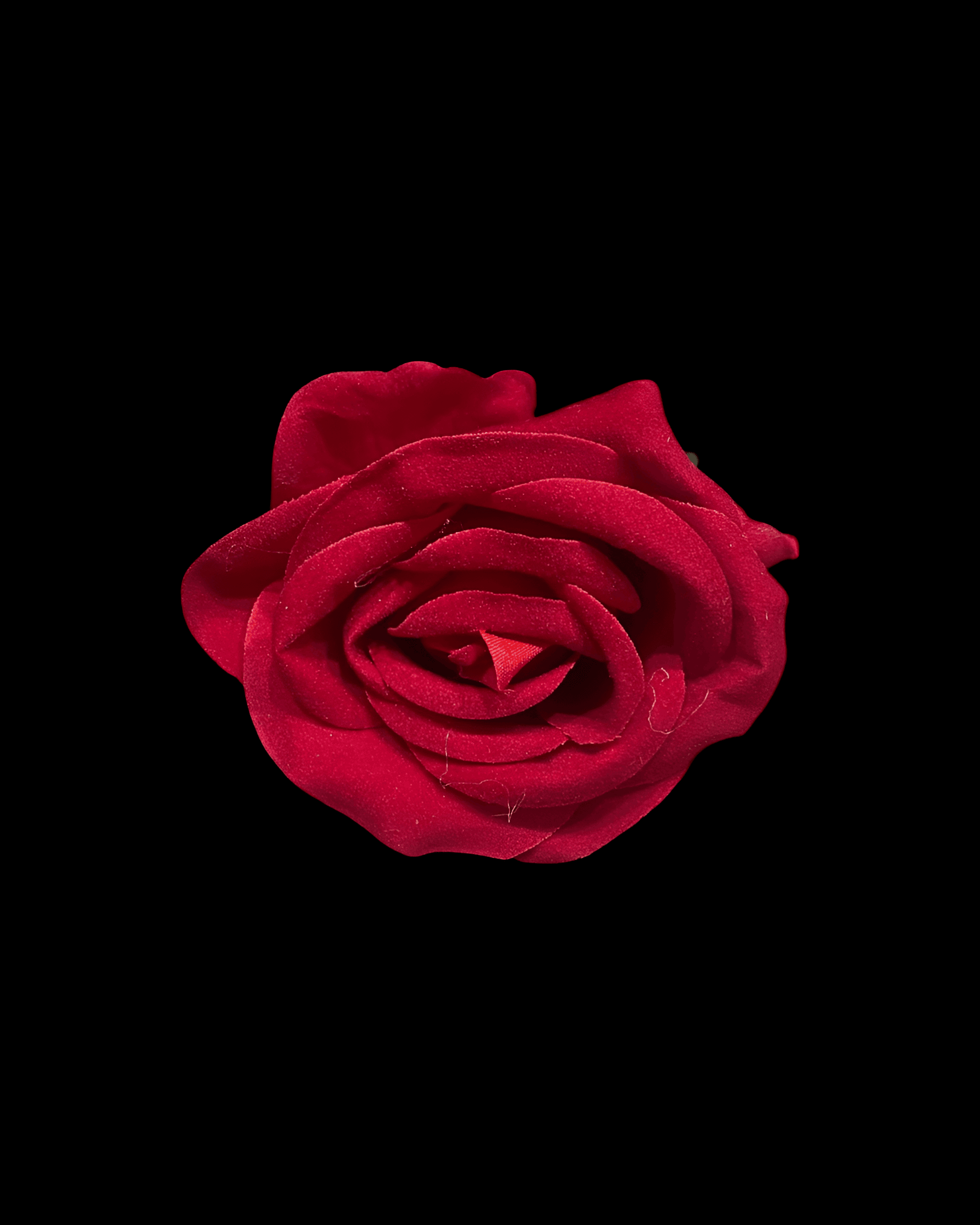 KAFA KADİFE GÜL - 2