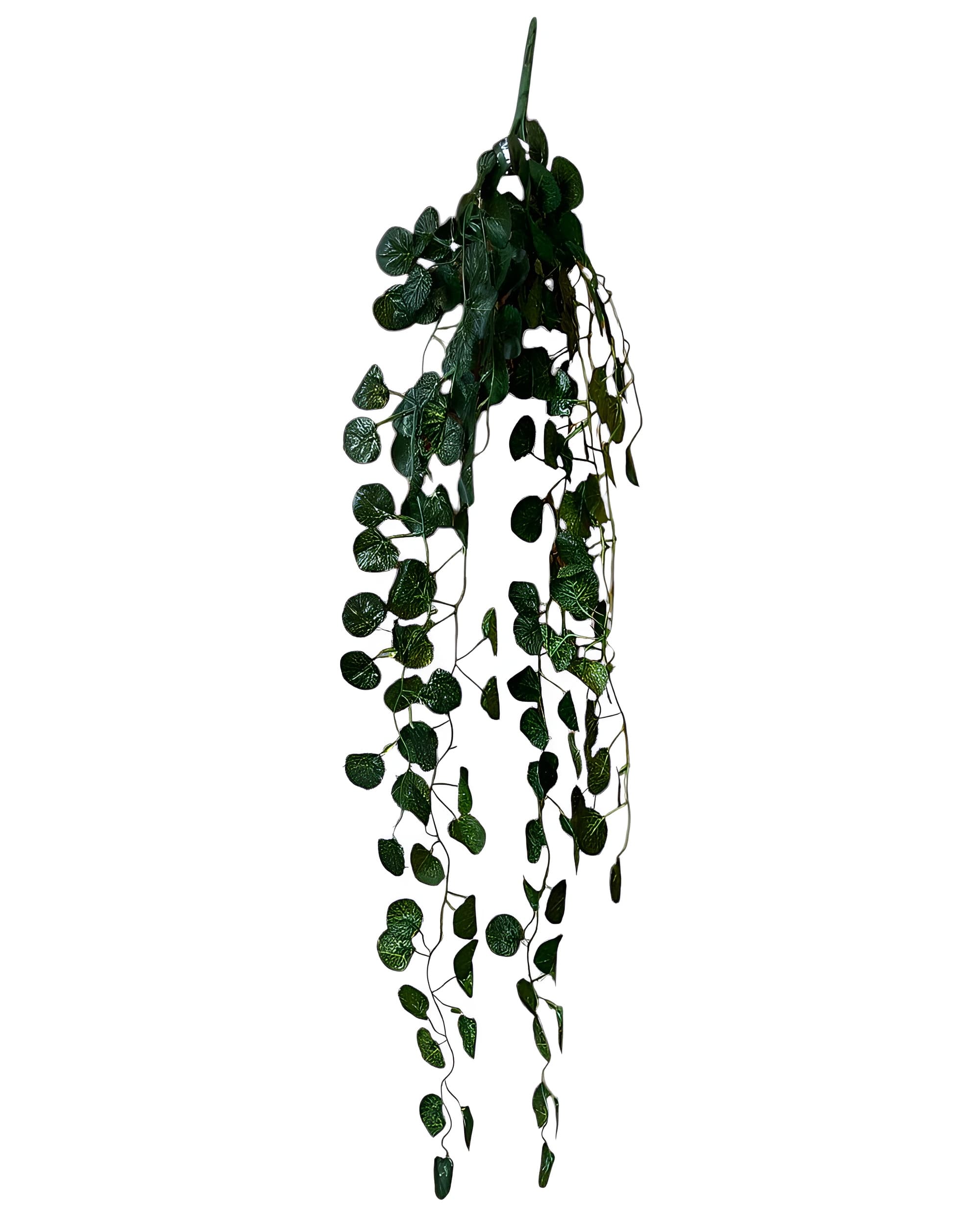 5 DALLI YUVARLAK YAPRAKLI SARKAN SARMAŞIK 85 CM 2