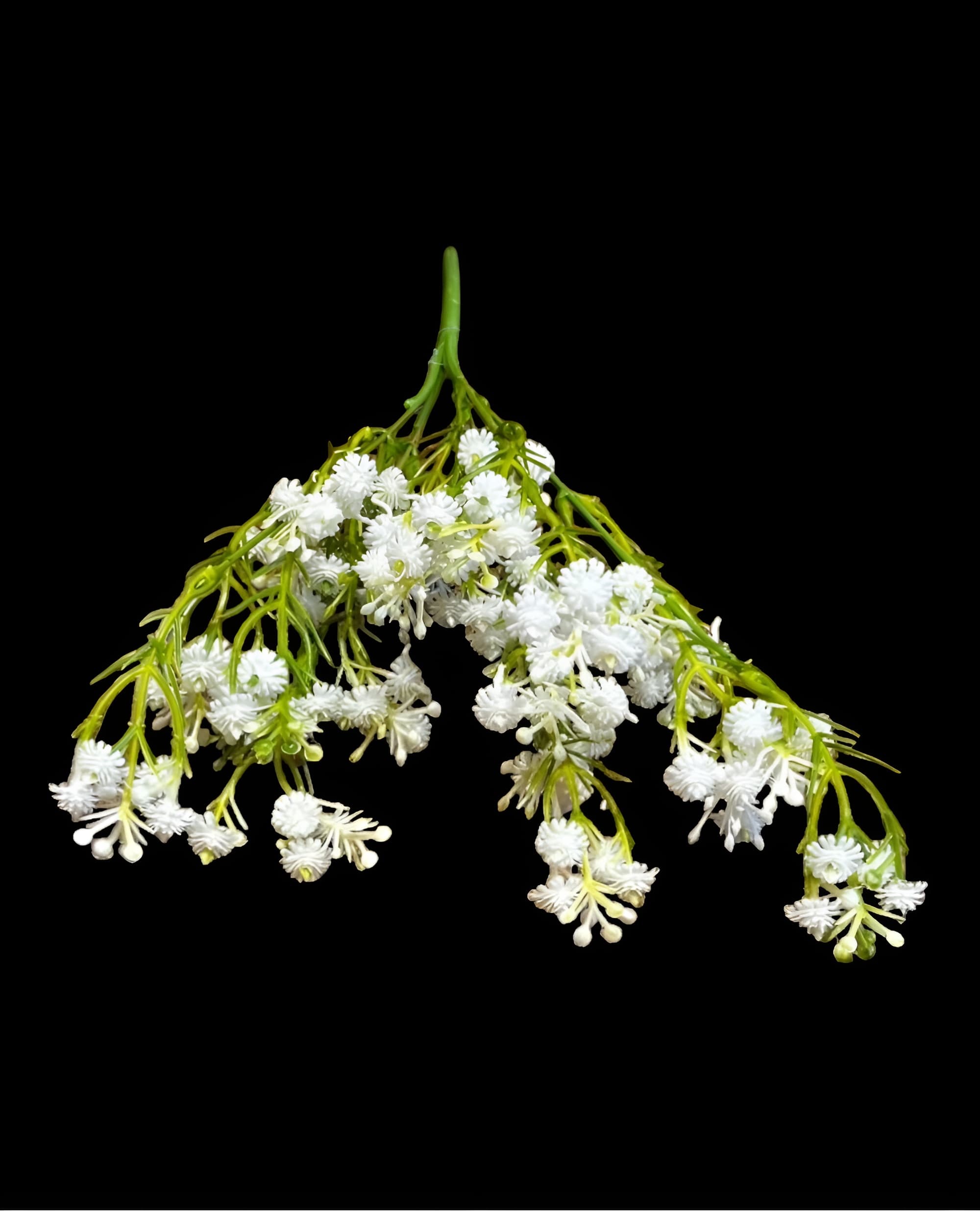 5 DALLI ISLAK CİPSO DEMETİ 30 CM - 2