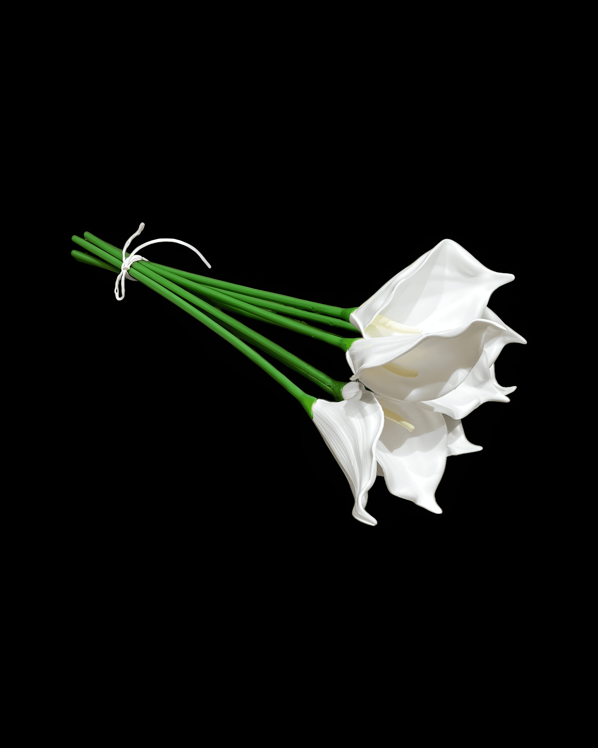 ISLAK GALA DEMETİ 8'Lİ 1