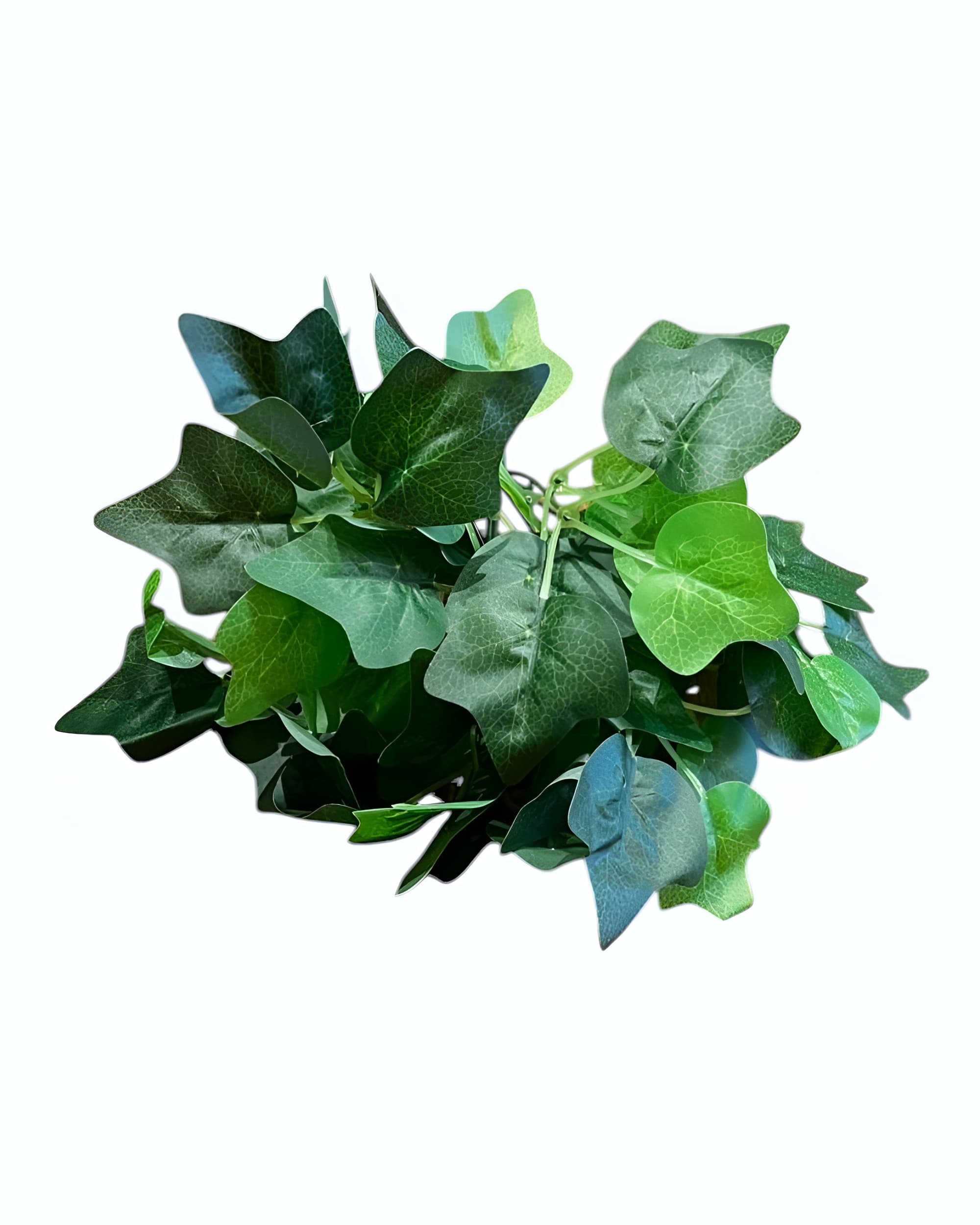 7 DALLI YEŞİLLİK DEMETİ - 2