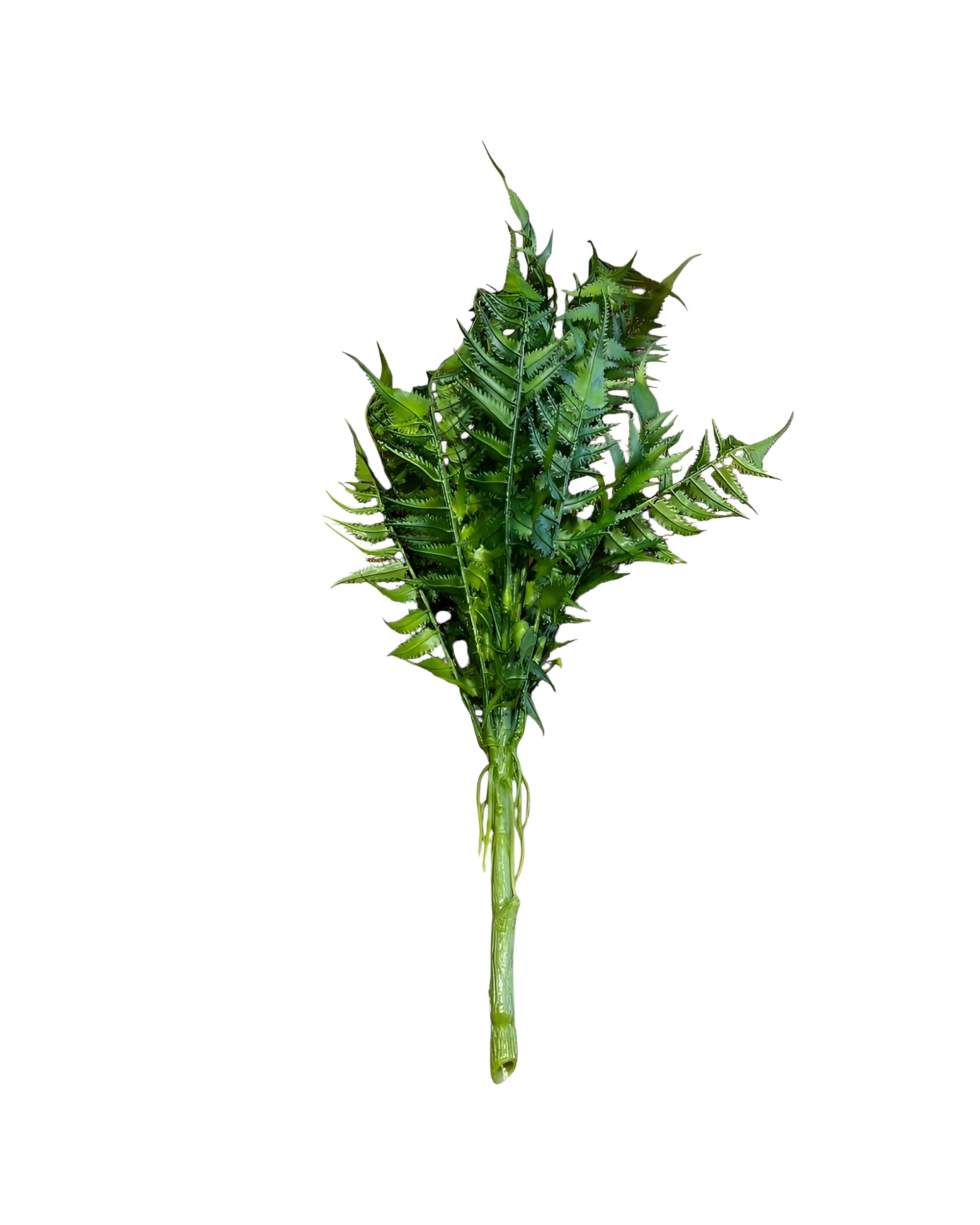 ISLAK DOKULU YAPAY AŞK MERDİVENİ 18 DALLI 50CM - 2