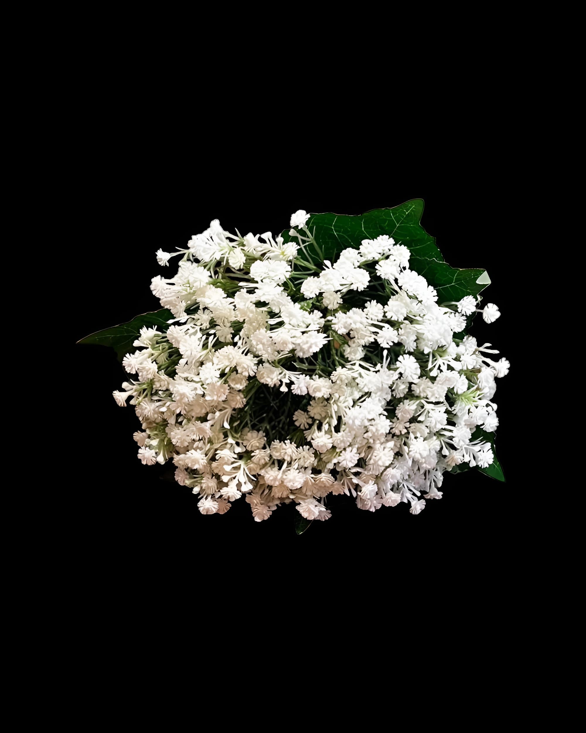 YAPAY CİPSO DEMETİ - 3