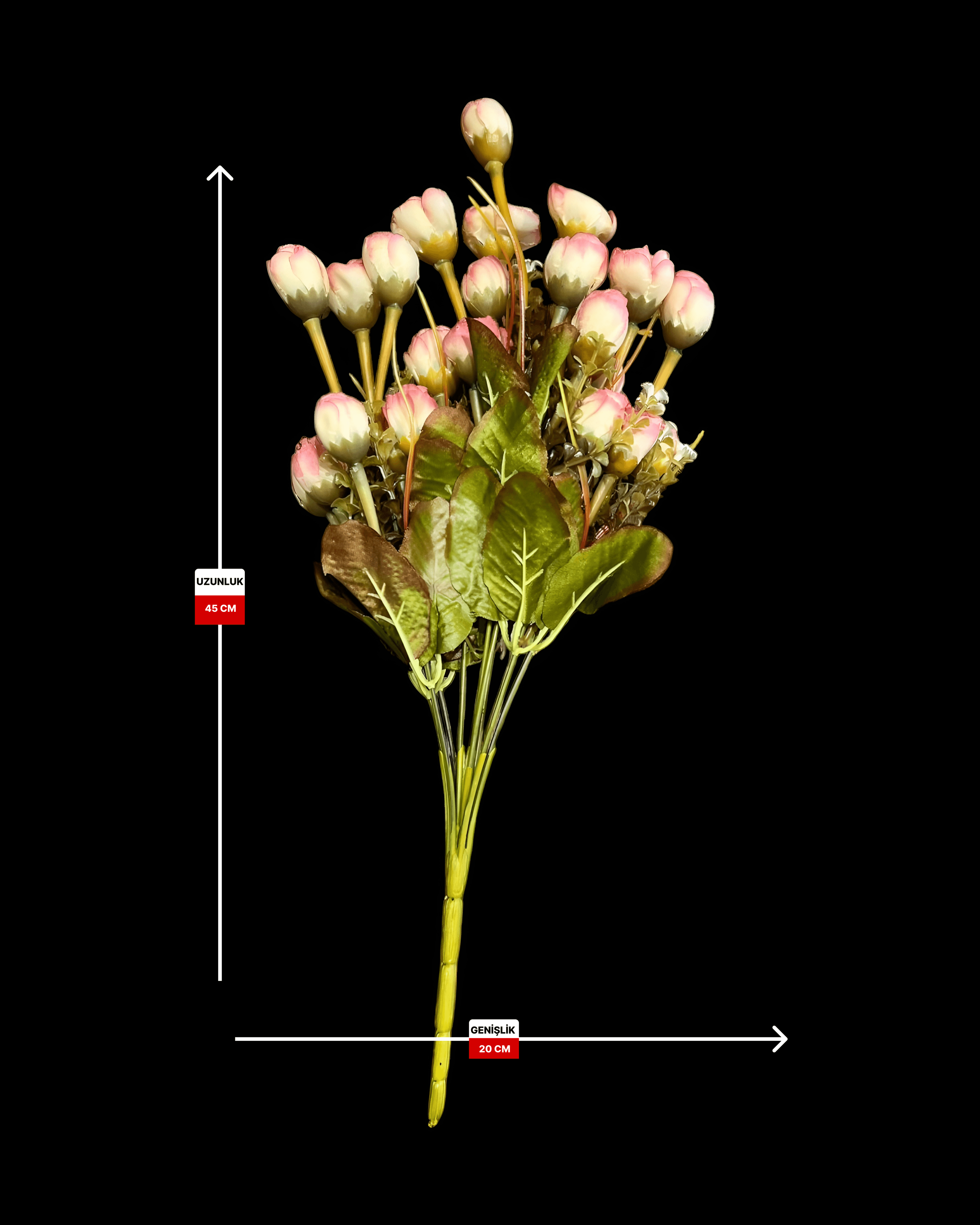 27 BAŞLI TOMURCUK DEMETİ 4