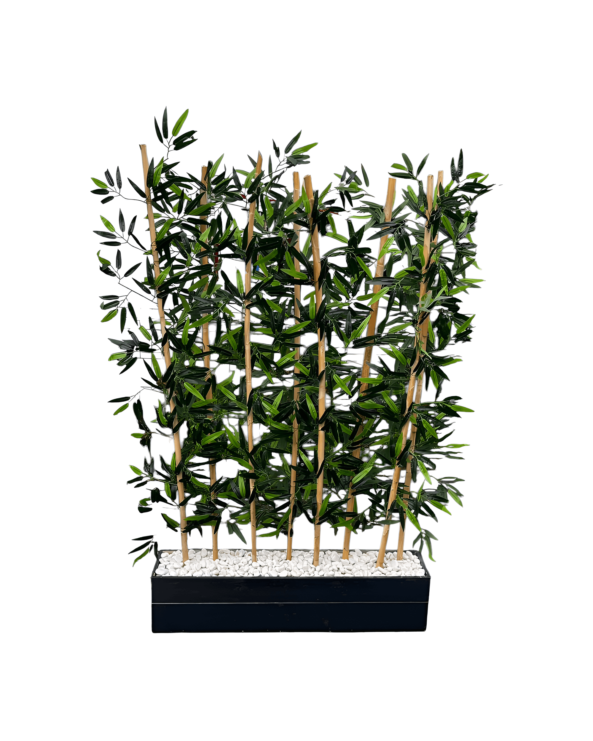 BAMBU ÇİT SAKSILI - 4