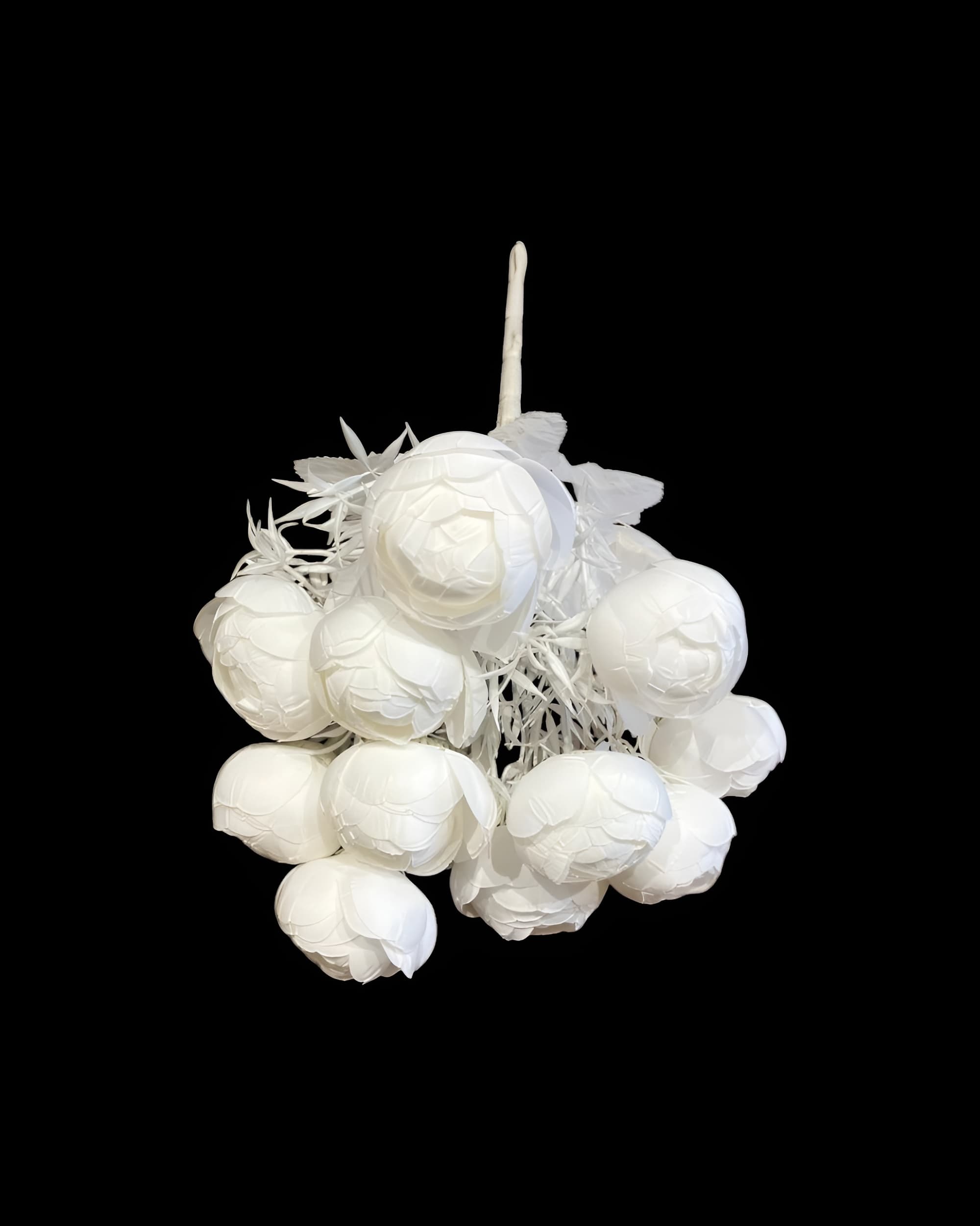 12 BAŞLI ŞAKAYIK 0