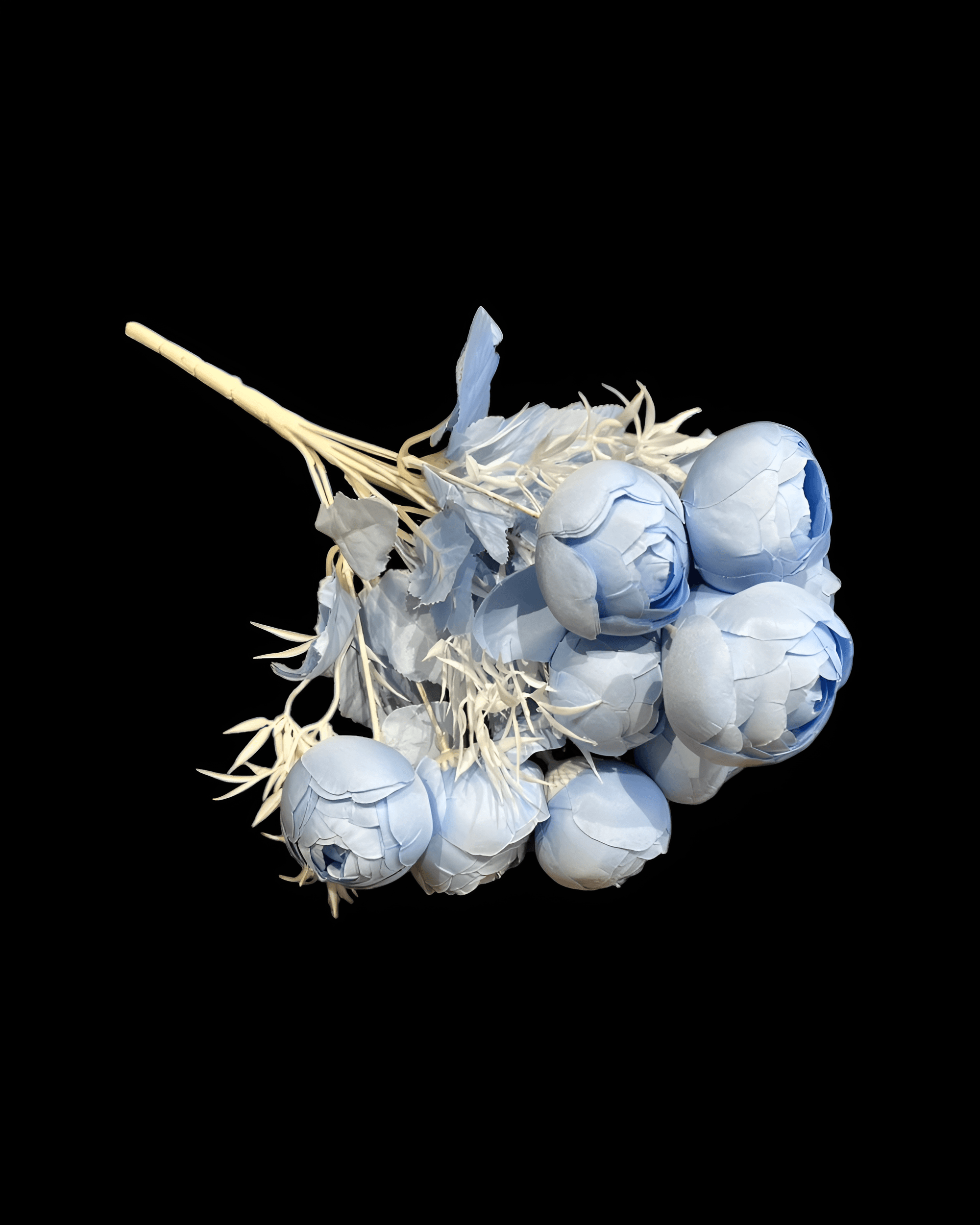 12 BAŞLI ŞAKAYIK 4