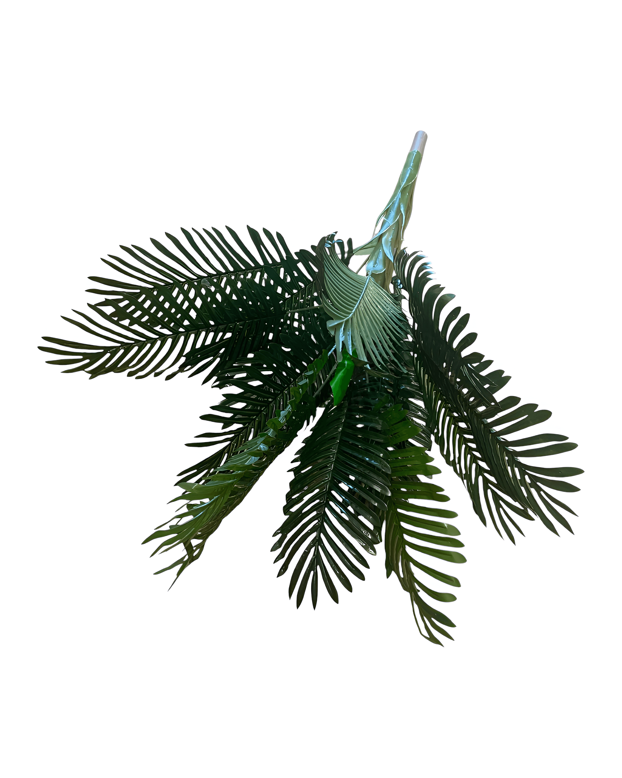 120 CM AREKA AĞAÇ - 2