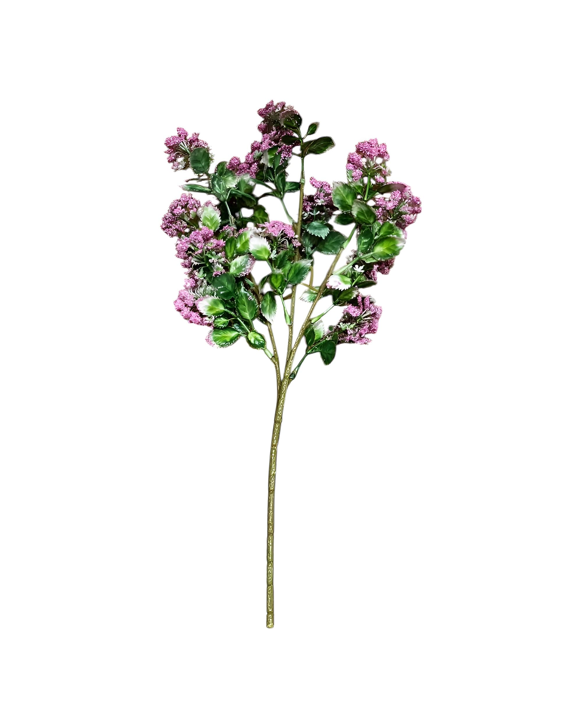 RENKLİ CİPSO DEMETİ - 1