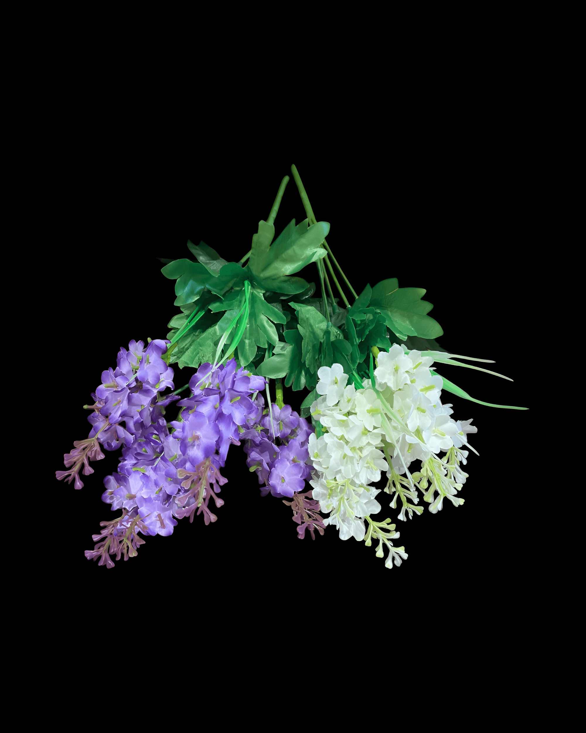 5 DALLI SÜMBÜL DEMETİ 0