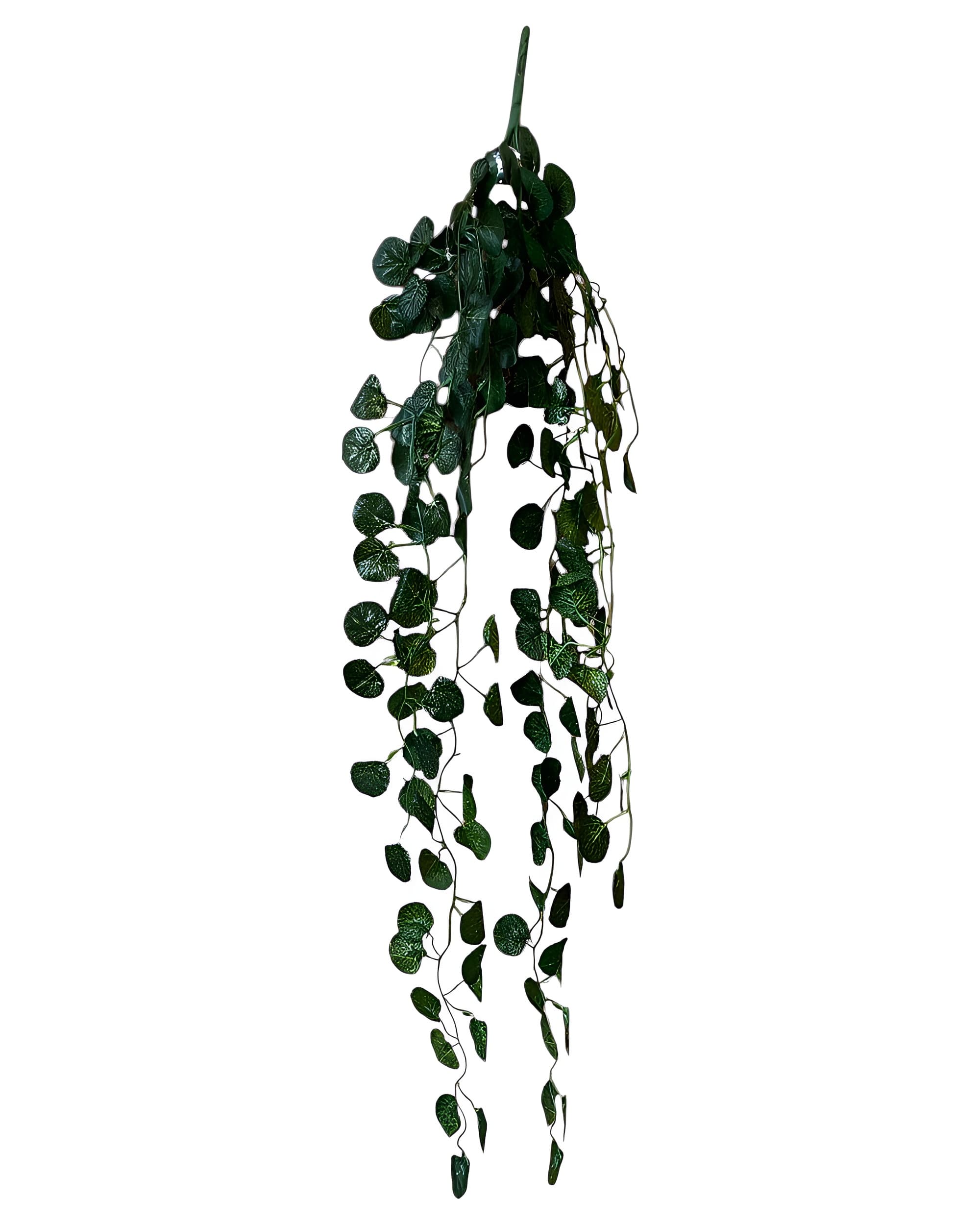 5 DALLI YUVARLAK YAPRAKLI SARKAN SARMAŞIK 85 CM 1