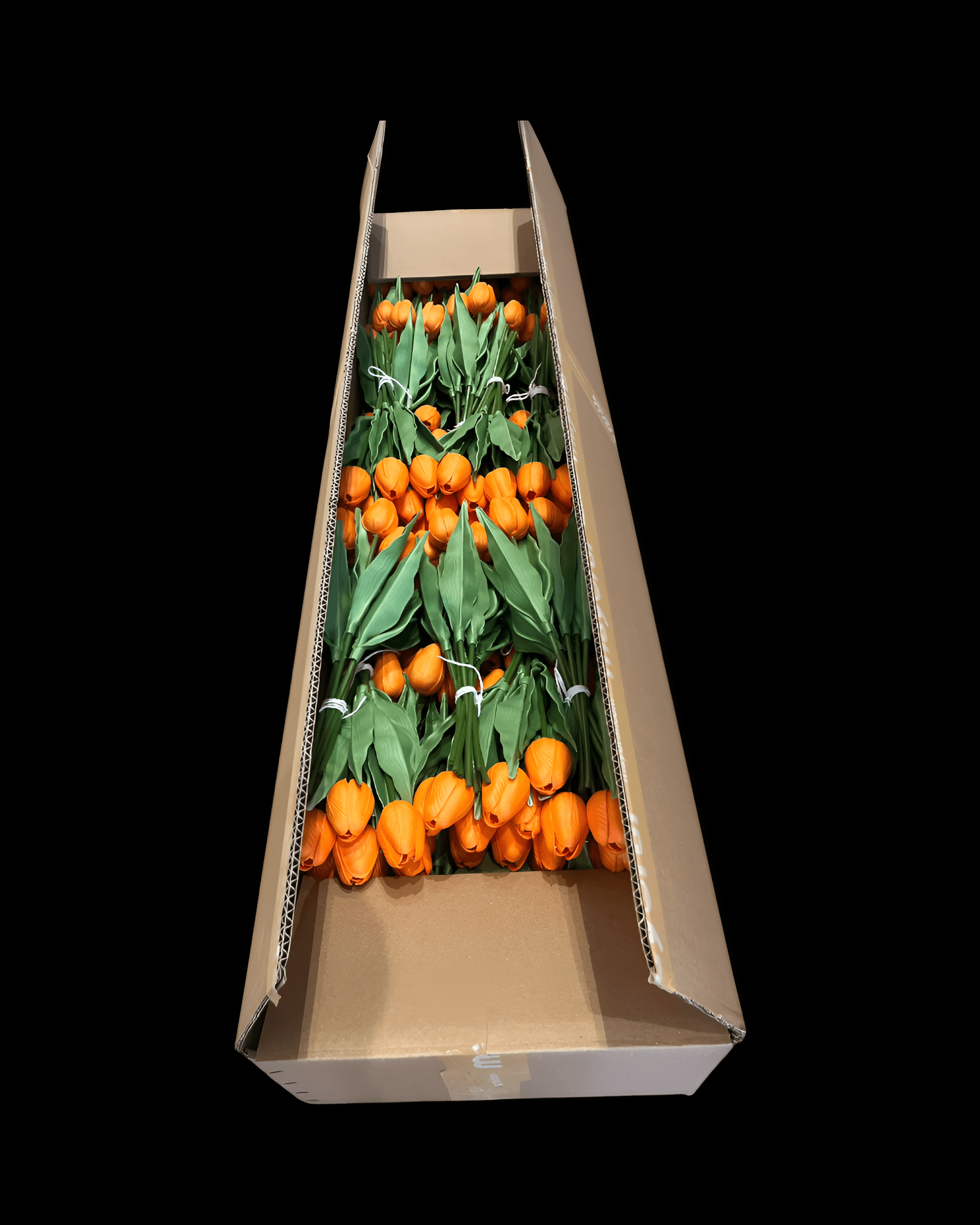 ISLAK LALE 8'Lİ DEMET - 6