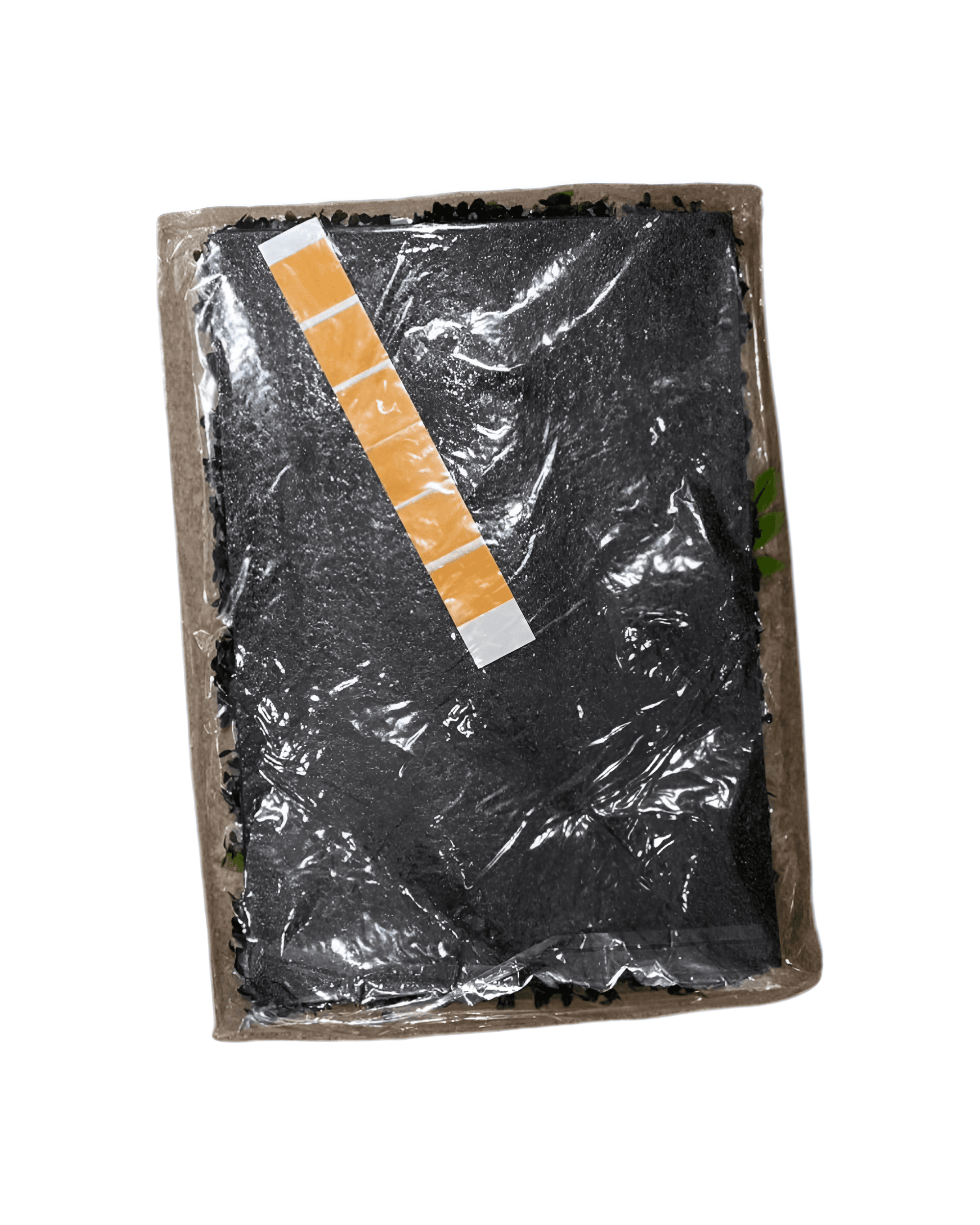 YAPAY ŞİMŞİR (YAPIŞKANLI) - 2