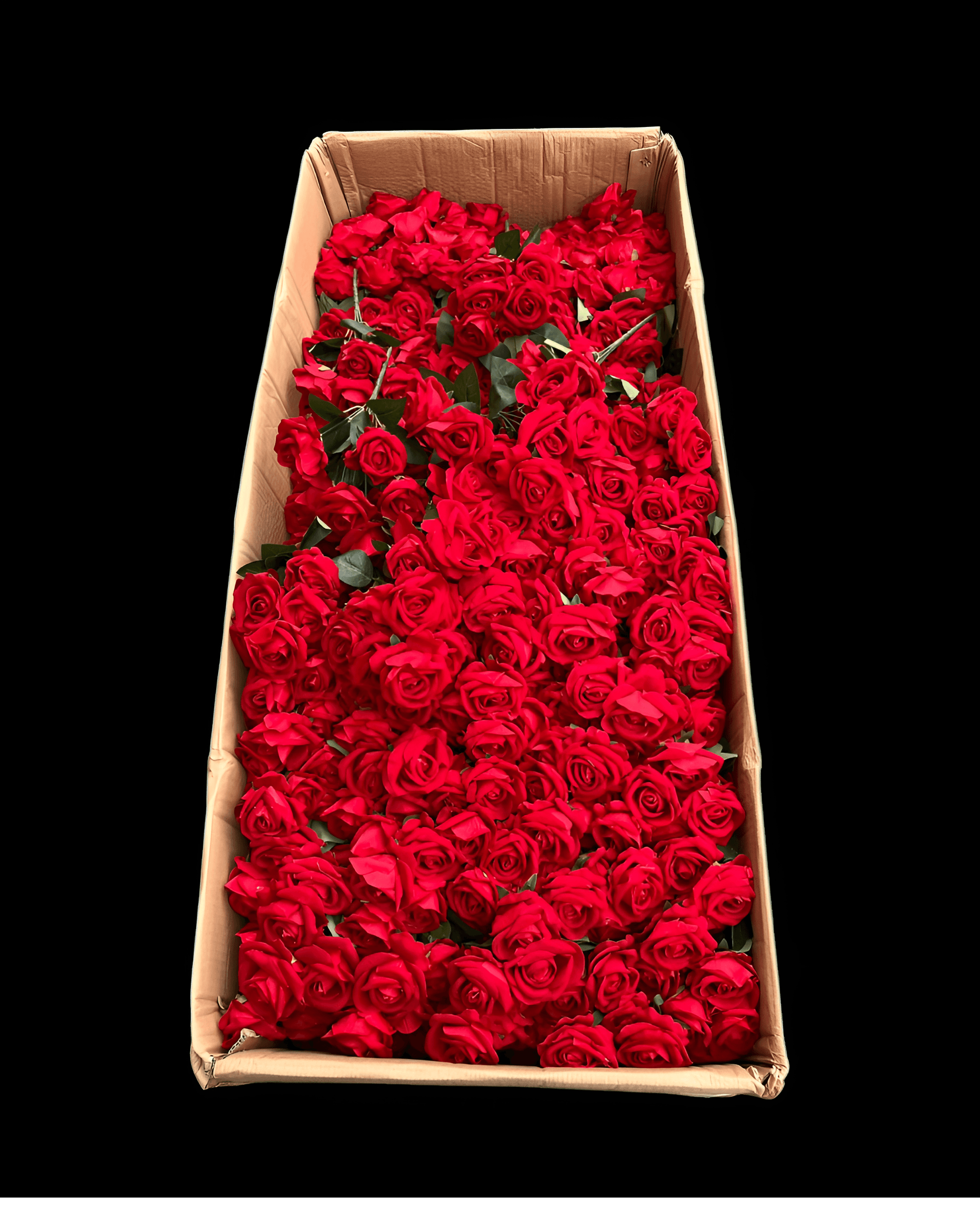 7 BAŞLI KADİFE GÜL - 4