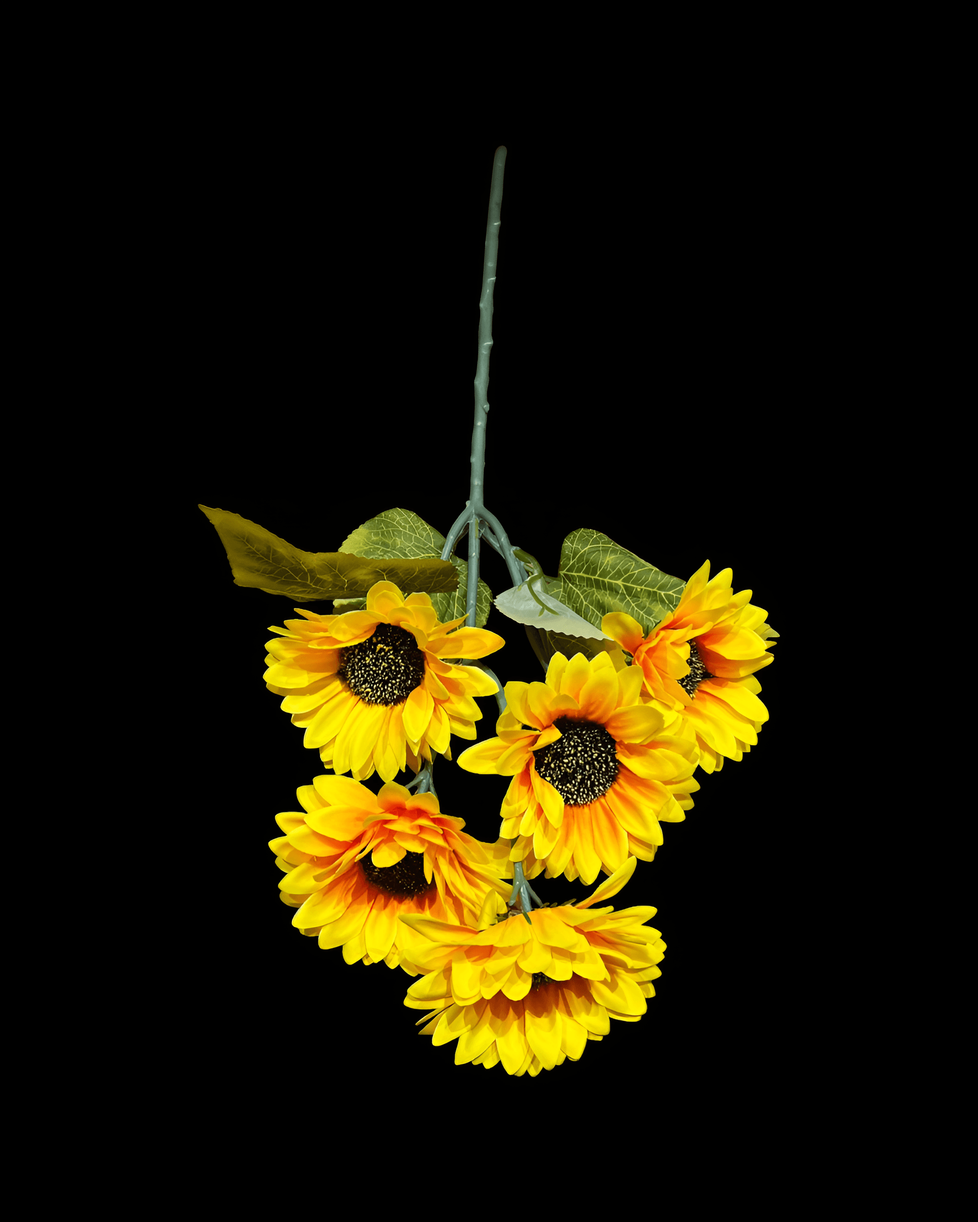 5 BAŞLI AY ÇİÇEĞİ 55 CM - 2