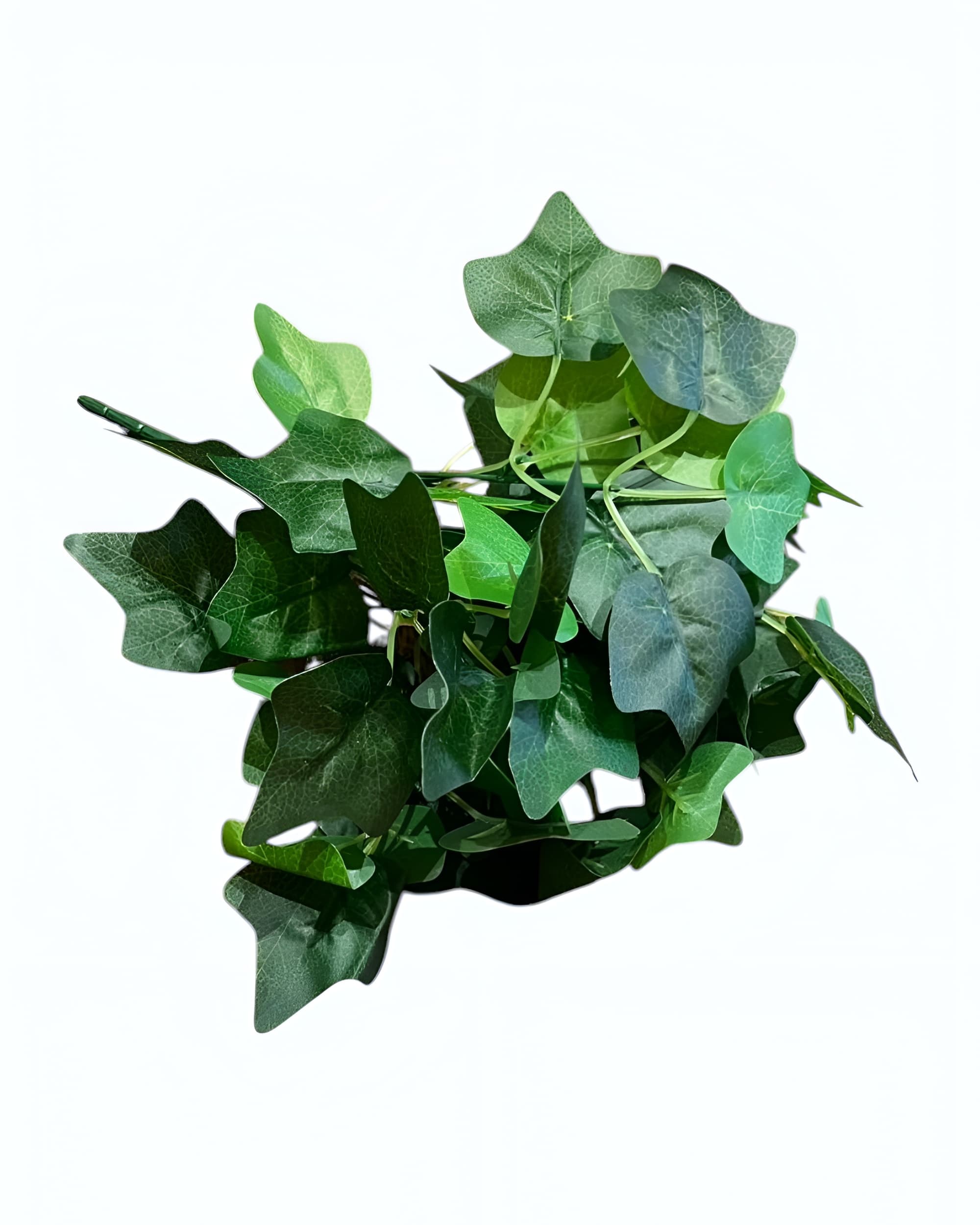 7 DALLI YEŞİLLİK DEMETİ - 3