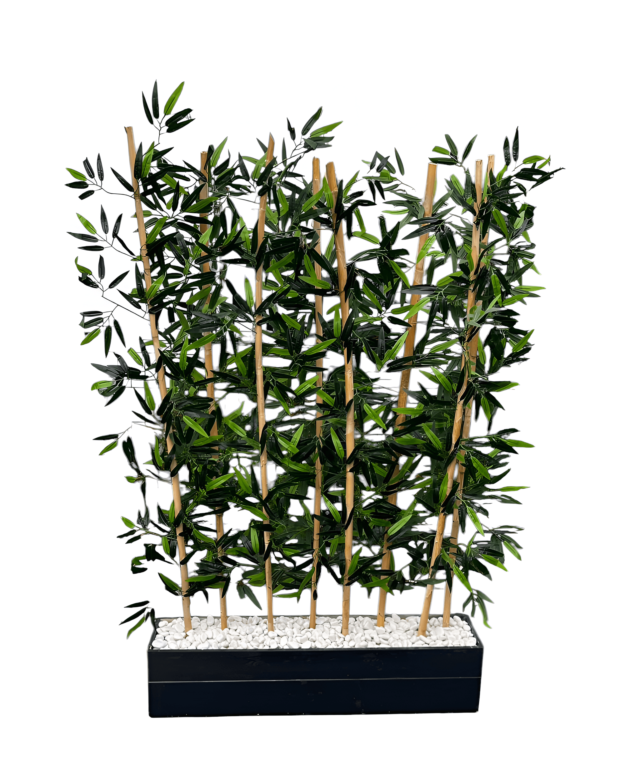 BAMBU ÇİT SAKSILI - 5