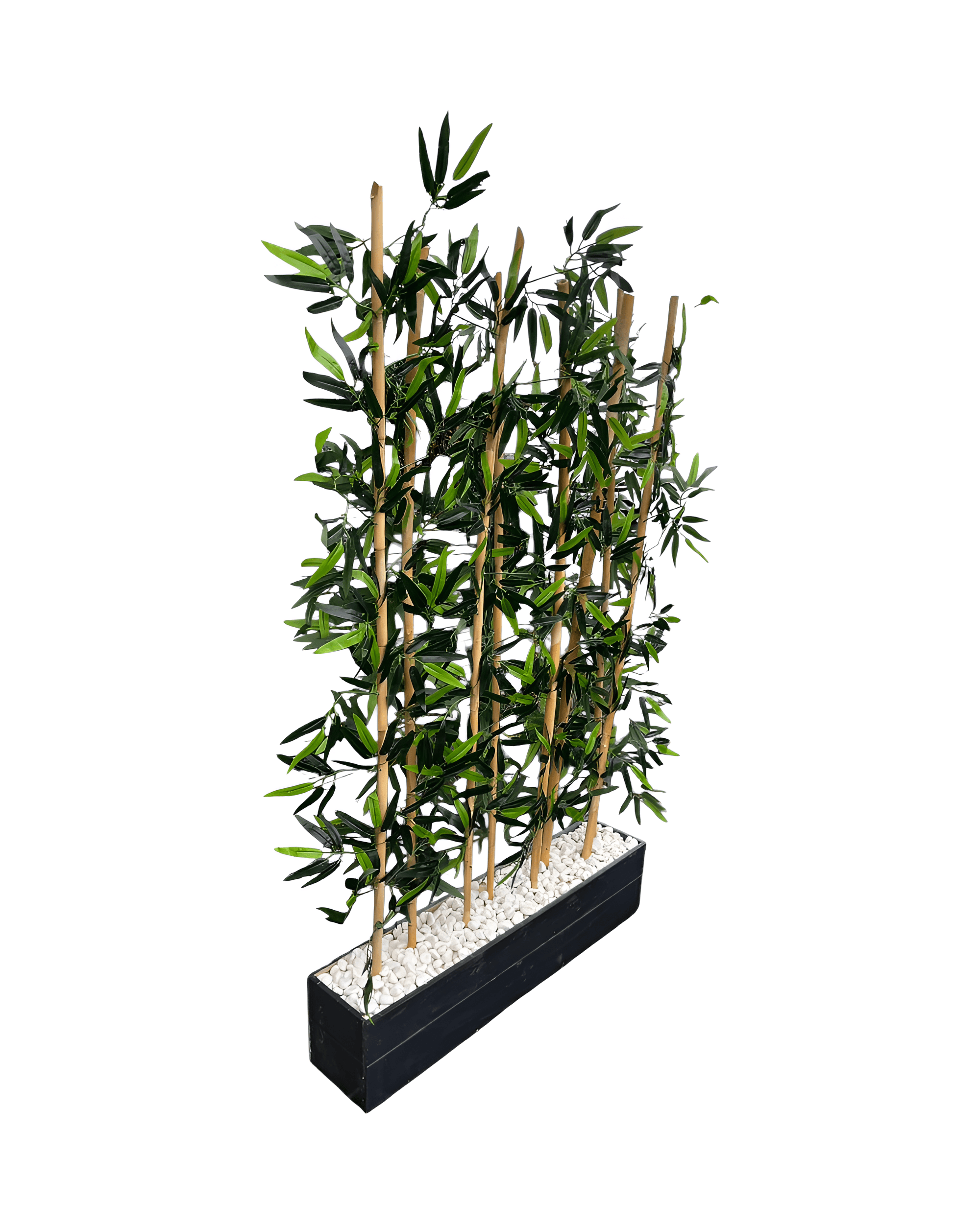 BAMBU ÇİT SAKSILI - 3