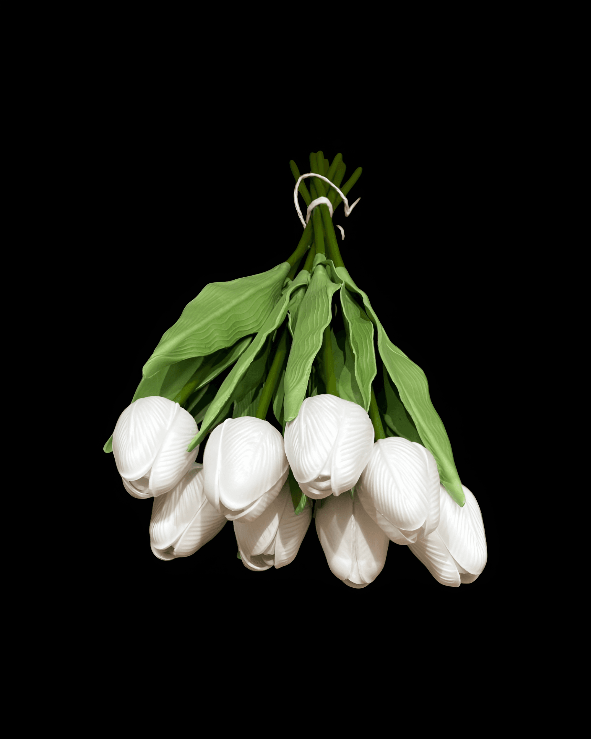 ISLAK LALE 8'Lİ DEMET 1